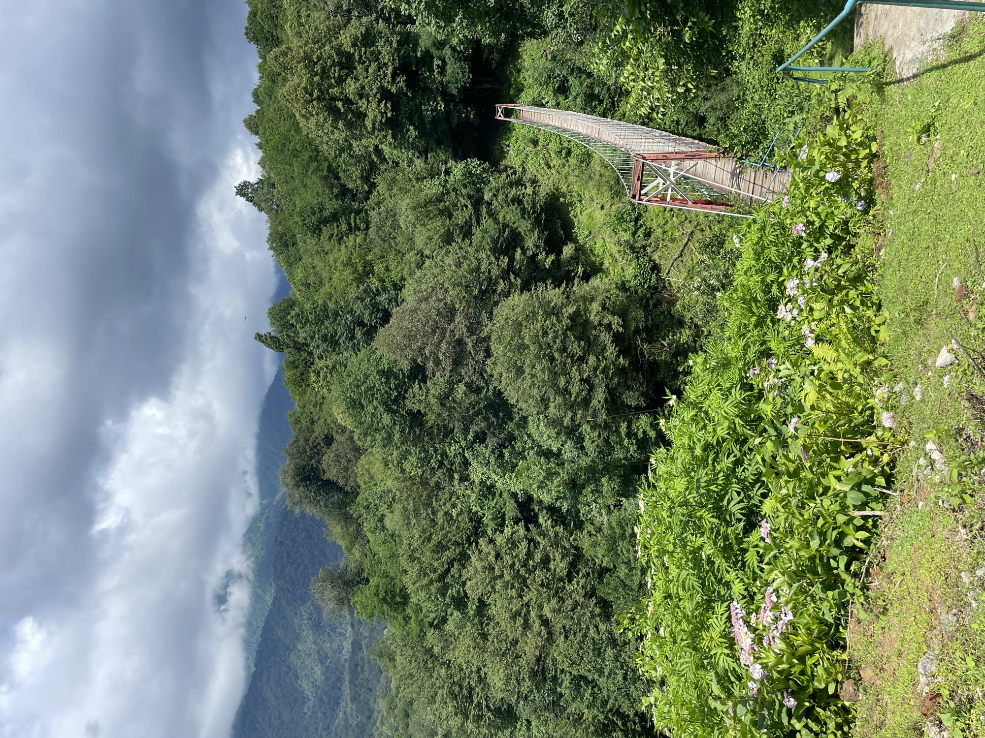 A suspension bridge with a red and white railing spans a lush green valley in Tqwarchal, Abkhazia. The bridge, constructed of wood and rope, is surrounded by dense forestation and rolling hills that recede into a misty mountain landscape under a cloudy sky. In the foreground, vibrant green foliage and some light pink flowers add a touch of color to the scene. The bridge appears to be a pedestrian crossing, with a set of stairs leading down to it from the right side of the frame, where a blue metal handrail is visible. The environment suggests a remote, natural setting, possibly a park or hiking area. There are no people visible in the image.