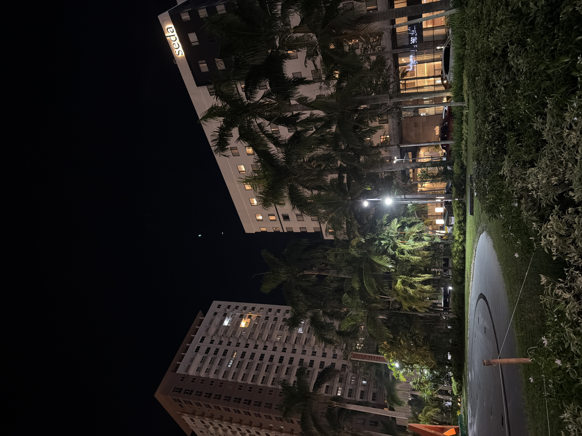 The image captures a nighttime scene in Davao City, Philippines, featuring two prominent buildings and lush palm trees. On the right, a modern hotel with the "Seda" logo illuminated on its facade is visible. The hotel has a white exterior with dark windows, and several windows are lit, indicating occupancy. In the foreground, several tall palm trees with dense foliage obscure parts of the hotel's lower levels. To the left of the hotel, a taller, older residential building stands, characterized by its light-colored facade and numerous balconies with small, lit windows. This building also has palm trees in front of it, though they are less dense than those in front of the hotel. The ground level of both buildings appears to be commercial or hotel-related, with large windows and illuminated interiors. A paved area with a curved section is visible in the foreground, bordered by a grassy area and more greenery. Streetlights cast pools of light, illuminating the pathway and surrounding vegetation. The sky is dark, with a few faint celestial bodies visible. The overall impression is one of a well-lit, urban environment at night, with a tropical influence due to the presence of palm trees.