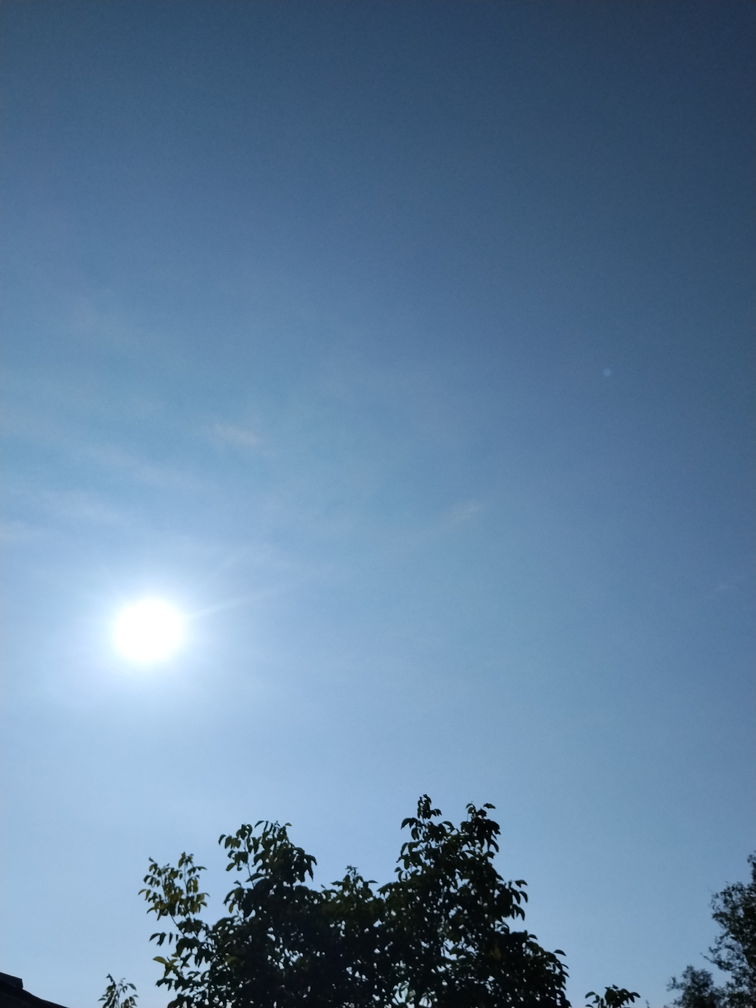 The image captures a clear blue sky with a bright sun positioned in the lower left quadrant. Thin, wispy clouds are visible, particularly near the sun. The upper portion of several trees with dark green foliage fills the bottom of the frame, extending from the left and right edges and meeting in the center. A dark roofline is partially visible in the lower left corner. The scene is set in the city of Ustyvytsia, Ukraine, during daylight hours.