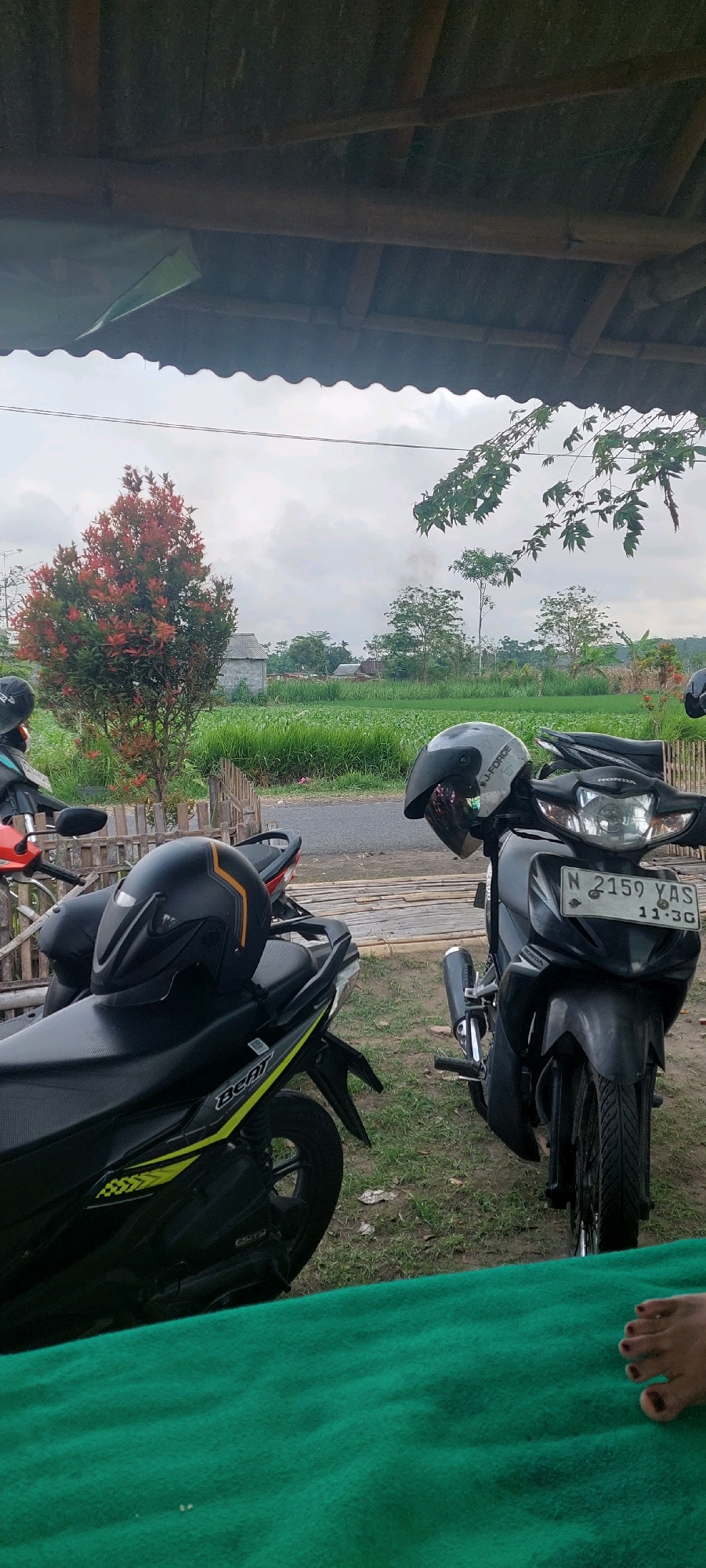 In Sumbersuko, Indonesia, an overcast sky looms above a rural scene. In the foreground, a vibrant green blanket is draped over the lower part of the image. Two motorcycles are parked side-by-side. The motorcycle on the right is black with a license plate reading "N 2159 YAS 11-30". A silver helmet with "J-FORCE" written on it rests on its handlebars. The motorcycle on the left is black with yellow accents, and a black helmet with orange detailing is placed on its seat. Behind the motorcycles, a wooden fence borders a road, and beyond that, a field of lush green crops stretches out under the cloudy sky. A small, red-leafed tree stands to the left of the field. In the distance, several buildings and trees are visible, suggesting a small village or rural settlement.