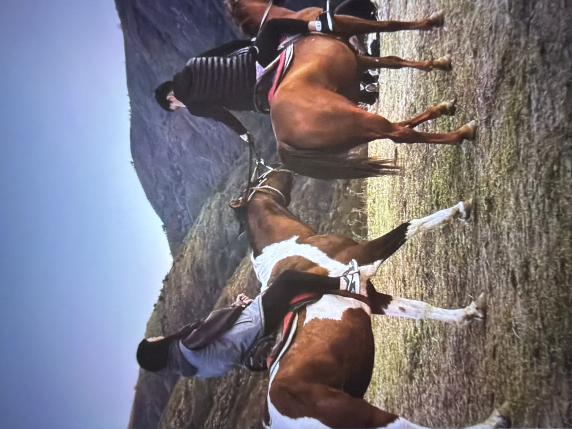The media file depicts a scene of two people on horseback, with a mountainous, rocky landscape and dry, grassy terrain in the background. The sky is clear and blue, suggesting a daytime setting, likely with fair weather. The overall environment hints at a rural or wilderness location.
One subject is a person on a brown horse, wearing a dark top and a pink saddle pad. The horse is depicted in motion, with its legs extended. The other subject is on a pinto horse, with brown and white markings. This rider is wearing a light-colored shirt. The pinto horse appears to be rearing or in a dynamic pose, with its front legs raised. The rider on the pinto horse seems to be leaning back or struggling to maintain their seat.
The focus of the image is on the horses and their riders, with the landscape serving as a backdrop. The activity taking place is horseback riding, with a possible element of distress or a dramatic moment for the rider on the pinto horse. The visual cues do not explicitly indicate time of day beyond daylight, nor specific weather conditions beyond the clear sky. The location context provided suggests Beșalma, Moldova, which aligns with the rugged, natural scenery. There is no visible text in the media file.