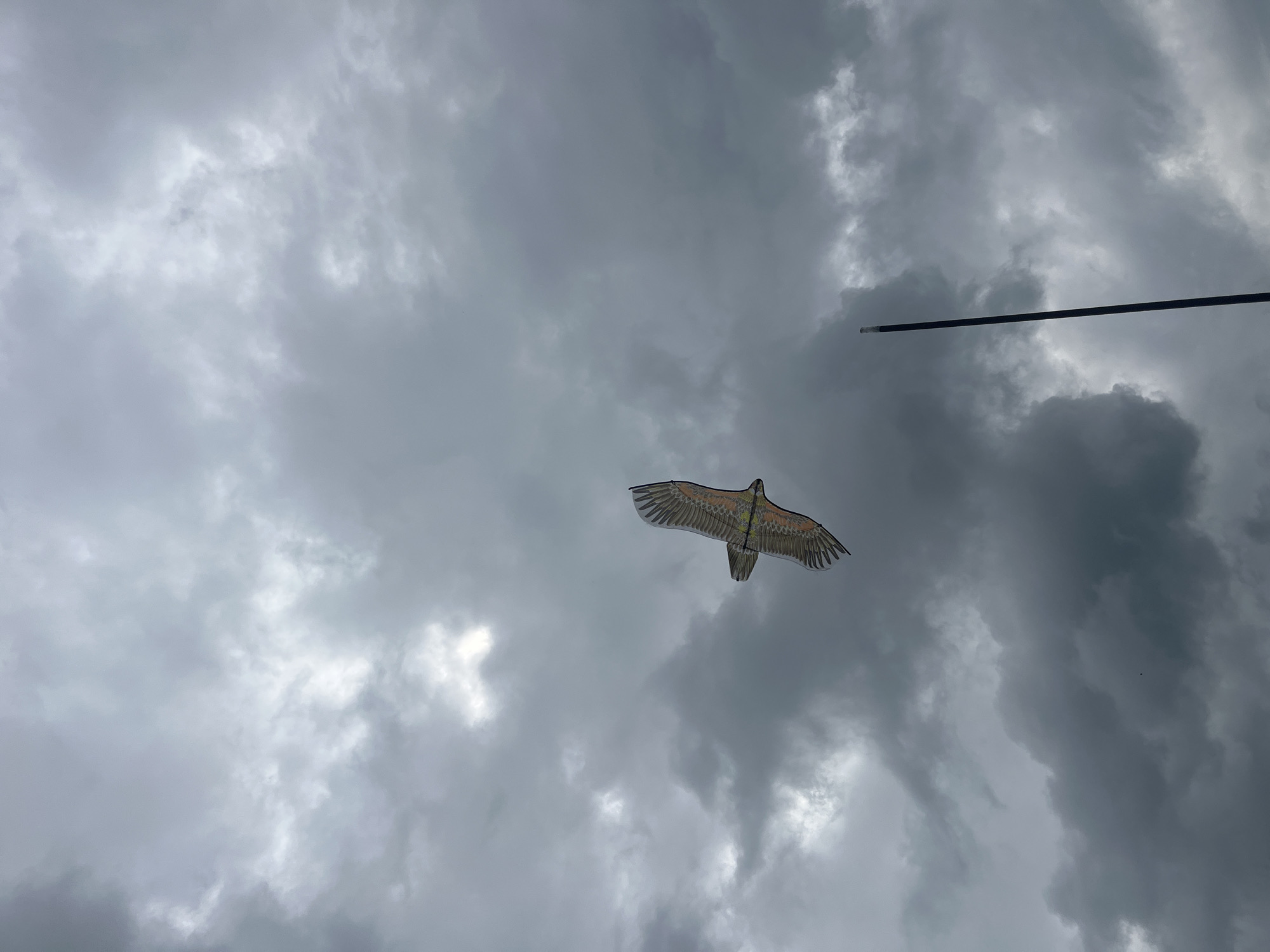 The image captures an eagle-shaped kite soaring against a dramatic, cloudy sky. The kite is predominantly brown and tan with detailed feather patterns, and its wings are spread wide as it flies diagonally across the frame. The sky is filled with heavy, dark gray clouds, with patches of lighter gray and hints of white suggesting breaks in the cloud cover or a diffuse light source. In the lower right quadrant of the image, a thin, dark, vertical pole extends upwards, piercing the cloudscape. The scene appears to be outdoors, with the sky occupying the majority of the frame. There are no people visible in the image.