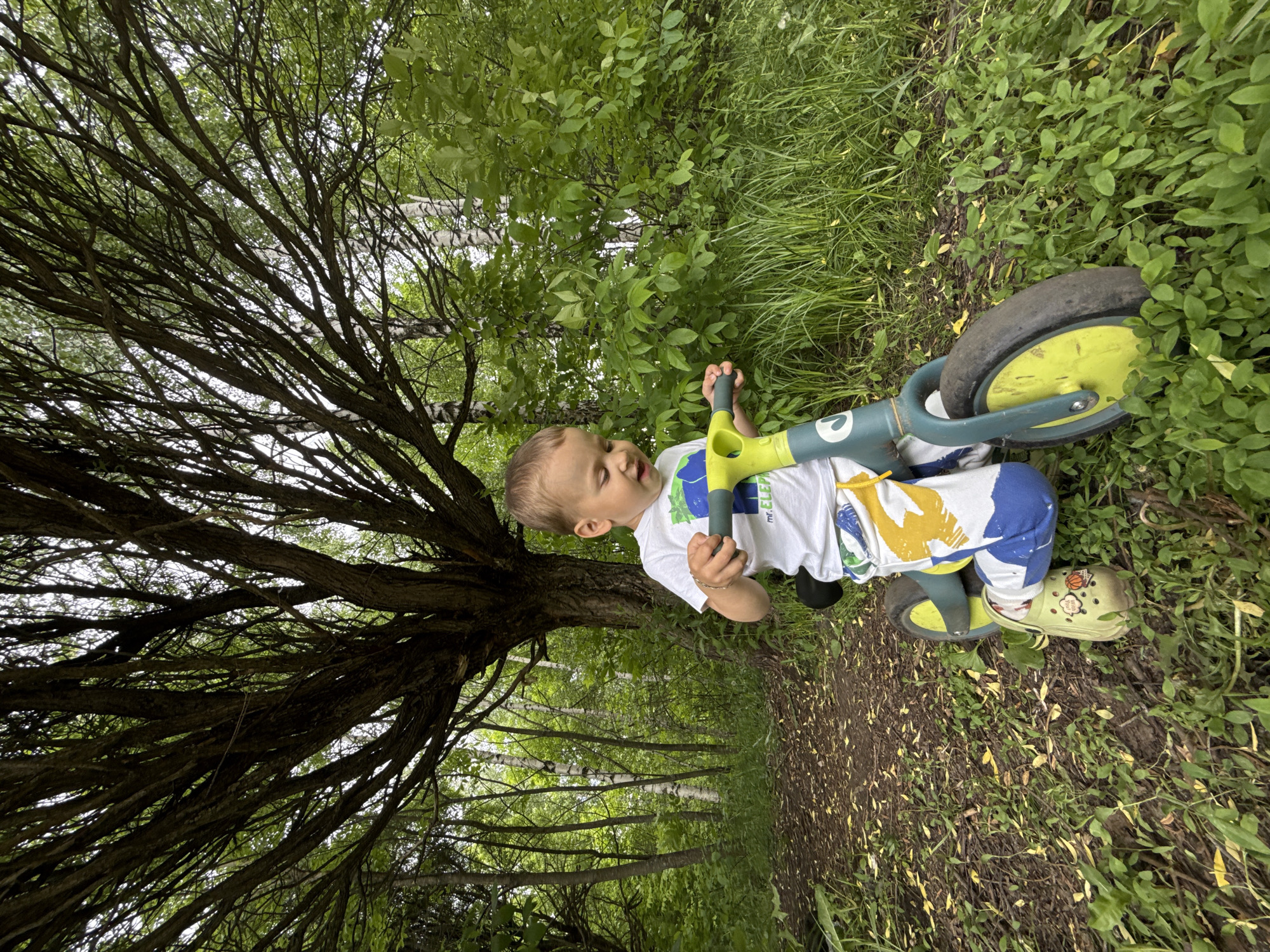 The image captures a young child in a natural, outdoor setting, appearing to be on a dirt path in a wooded area. The child, a toddler or preschooler with light brown hair, is positioned next to a green and yellow balance bike. They are looking upwards or to the side, with an open mouth, suggesting curiosity or a verbal exclamation.
The child is wearing a white t-shirt with a green and blue graphic, partially visible text reading "MR. ELEPH". Their pants are patterned in blue and white, and they are wearing light green sandals or Crocs. One sandal features a charm with the text "BOOM!" and a basketball graphic. The balance bike has a black tire with a yellow hub on the rear wheel, and its frame is primarily green and yellow.
The surroundings are lush and green, indicating a daytime scene. A prominent tree with numerous bare, dark branches dominates the left side of the frame, its canopy obscuring part of the sky. In the background, other trees with green leaves and some with distinctive white bark (possibly birches) are visible, along with dense green foliage and tall grass. A clear dirt path runs through the middle and right side of the image, covered with scattered leaves and small plants. The overall atmosphere suggests a pleasant day for outdoor exploration and play.