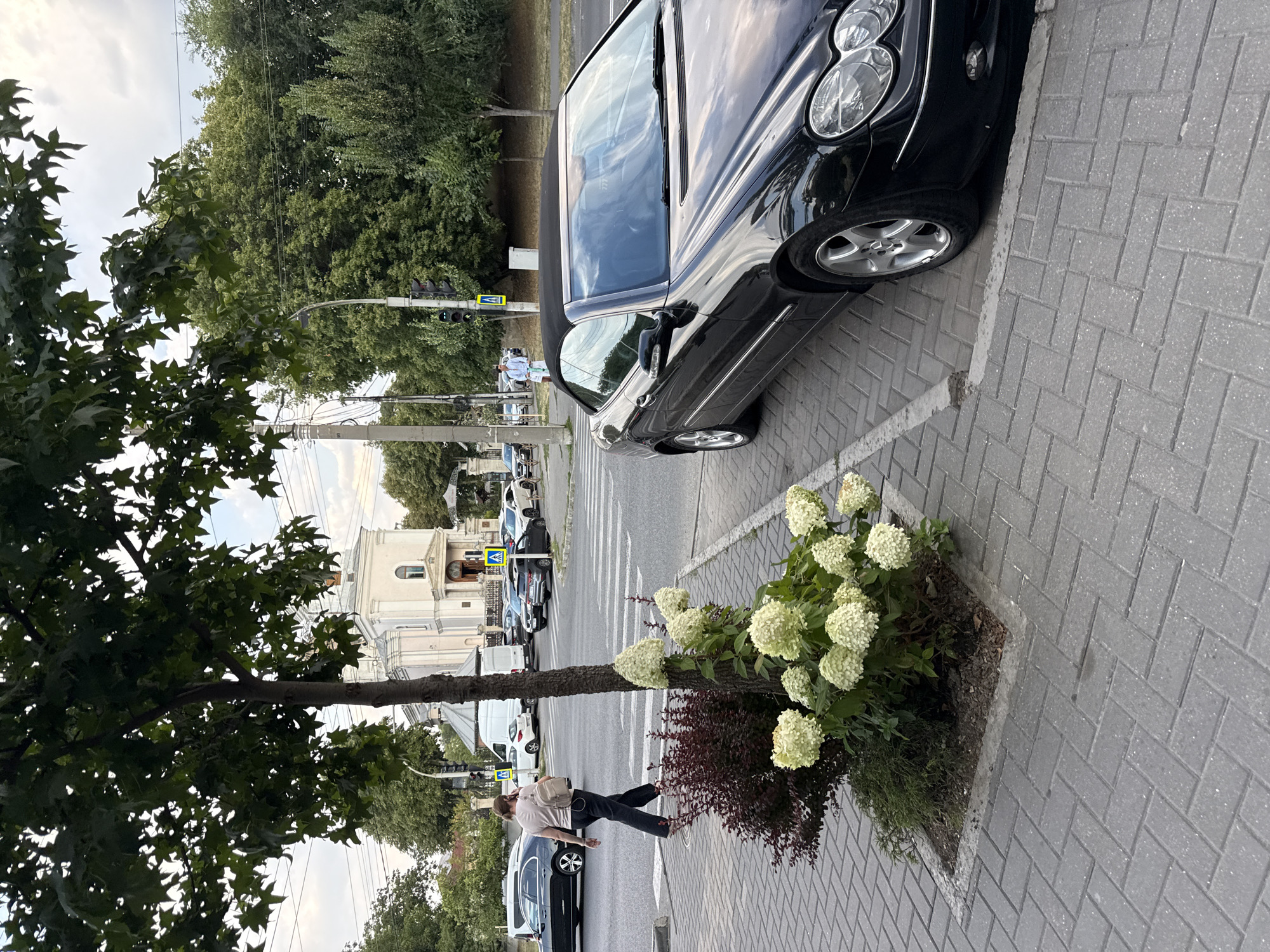 The image captures a street scene in Chișinău, Moldova, likely on a slightly overcast day. In the foreground, a black convertible Mercedes-Benz is parked on the right side of the frame, its top down. To the left of the car, a paved sidewalk features a planter with white hydrangeas and dark red shrubs. Beyond the planter, a tree with large leaves partially obscures the view.
Across the street, a pedestrian wearing a light-colored top and dark pants is walking across a crosswalk, carrying a light-colored backpack and talking on a mobile phone. Several cars are visible in the background, including a white van and other passenger vehicles. A light-colored church with a prominent facade and a steeple stands in the distance. Traffic lights and utility poles are also present along the street. The overall environment suggests an urban setting with elements of greenery and architectural interest.