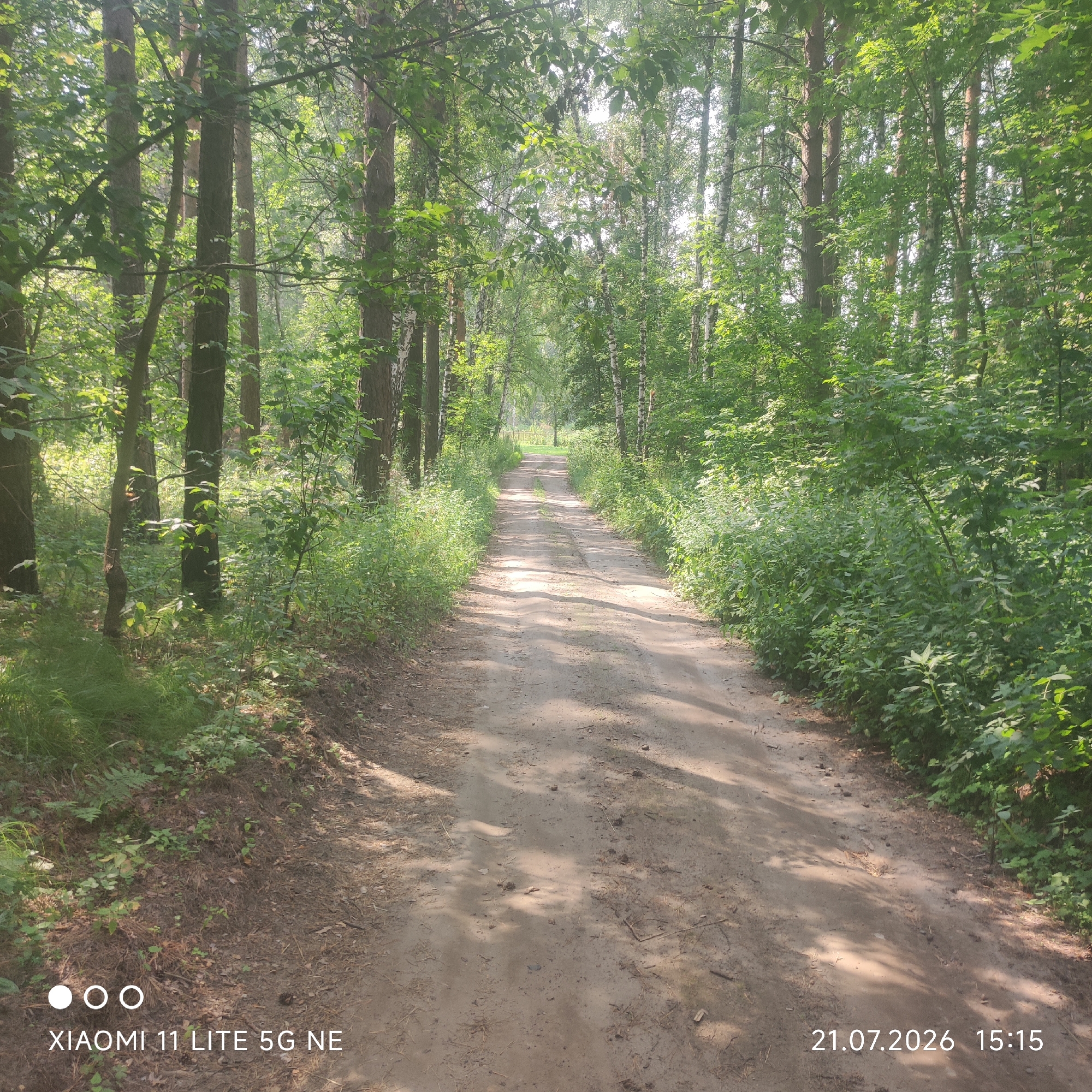 The image depicts a dirt road winding through a dense forest. Tall trees with lush green foliage line both sides of the road, creating a canopy that allows dappled sunlight to filter through. The road surface appears to be composed of sand and soil, with some scattered pine needles and small stones. The vegetation along the roadside is thick and verdant, with various types of plants and bushes. In the distance, the road continues to curve and disappear into the trees. The sky is not visible, but the lighting suggests it is daytime, possibly late morning or early afternoon. The bottom right corner of the image displays a date and time stamp: "21.07.2026 15:15", and the bottom left corner shows the text "XIAOMI 11 LITE 5G NE" with three circular icons. This scene is likely from a rural or natural setting outside of an urban area.
