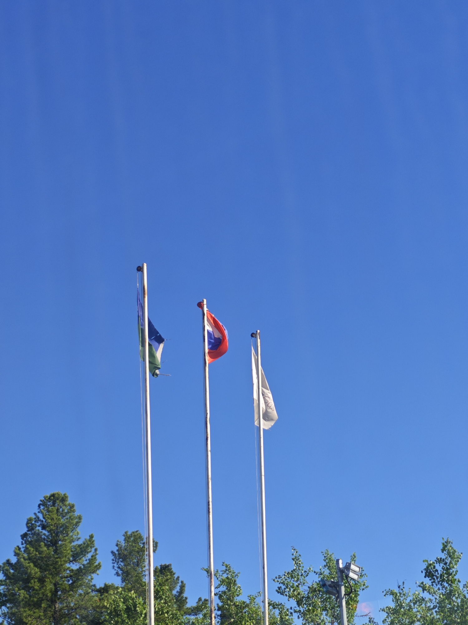 Three flags on metallic flagpoles stand against a clear, bright blue sky in Unknown, Unknown. The sky occupies approximately two-thirds of the upper image frame. From left to right: The first flagpole displays a furled flag, predominantly blue and green with white sections, which exhibits slight tearing at its lower edge. The second flagpole holds a furled flag featuring red top and bottom stripes, a central blue stripe, and a white circle in the middle. The third flagpole supports a white or very light grey flag, also furled, with a discernible dark emblem or design on its surface. All flagpoles appear to be weathered. Below the flagpoles and flags, green foliage from various trees is visible, with denser, coniferous-like trees on the left and broader-leafed trees on the right. On the far right, partially obscured by the foliage, a pole fitted with modern, dark-colored LED floodlights is present. No people are visible in the scene.