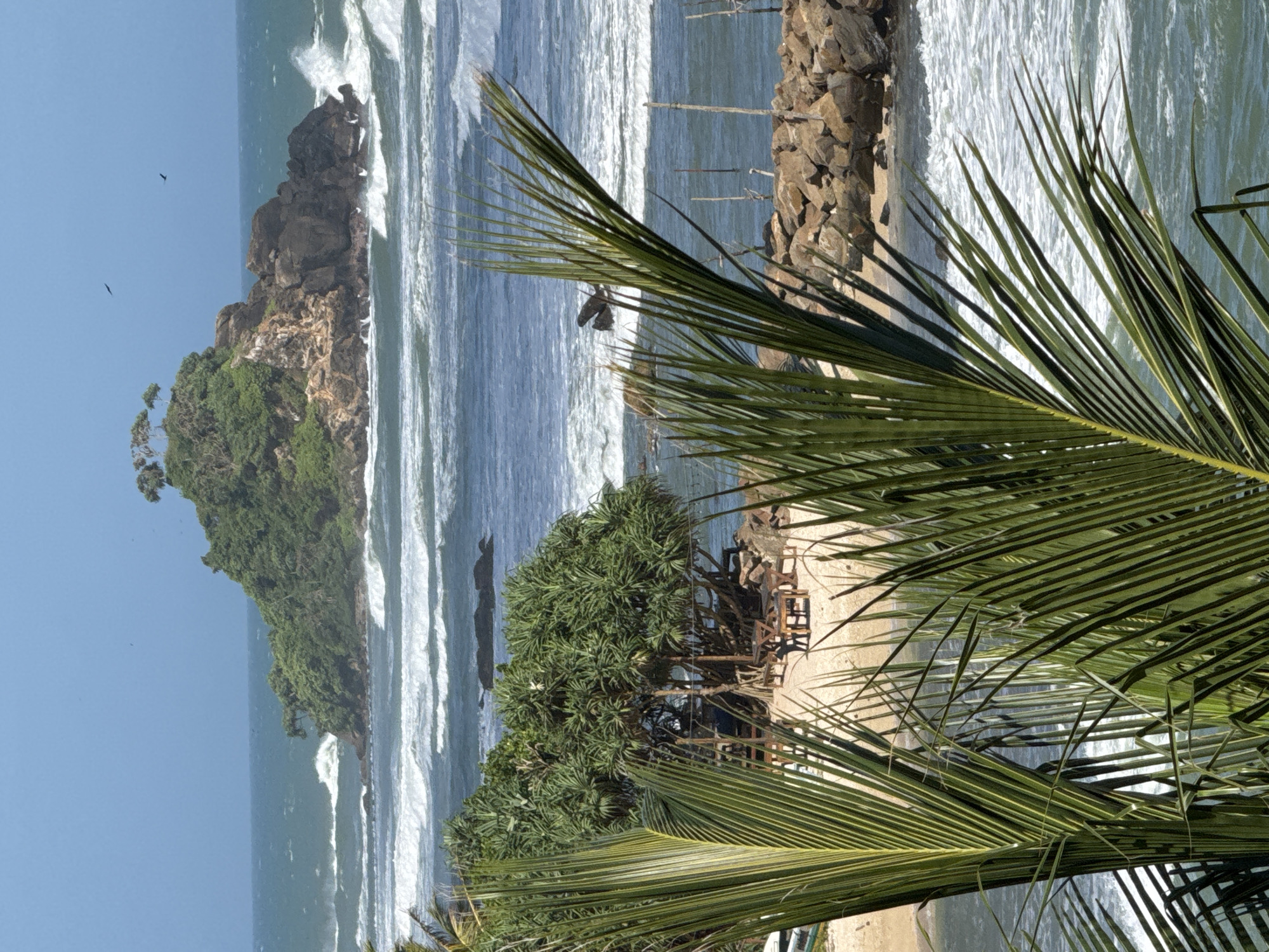 This image depicts a tropical coastal scene in Goviyapana, Sri Lanka. The foreground is dominated by lush green palm fronds, obscuring part of the view. Beyond the foliage, a sandy beach is visible, furnished with several wooden tables and chairs, suggesting an outdoor seating area for a restaurant or cafe. Behind the beach, the ocean churns with moderate waves breaking against a rocky shoreline and a small, tree-covered island in the distance. Two birds are visible in the clear blue sky above the island. The overall atmosphere is one of a serene, natural beach setting with elements of human activity.
