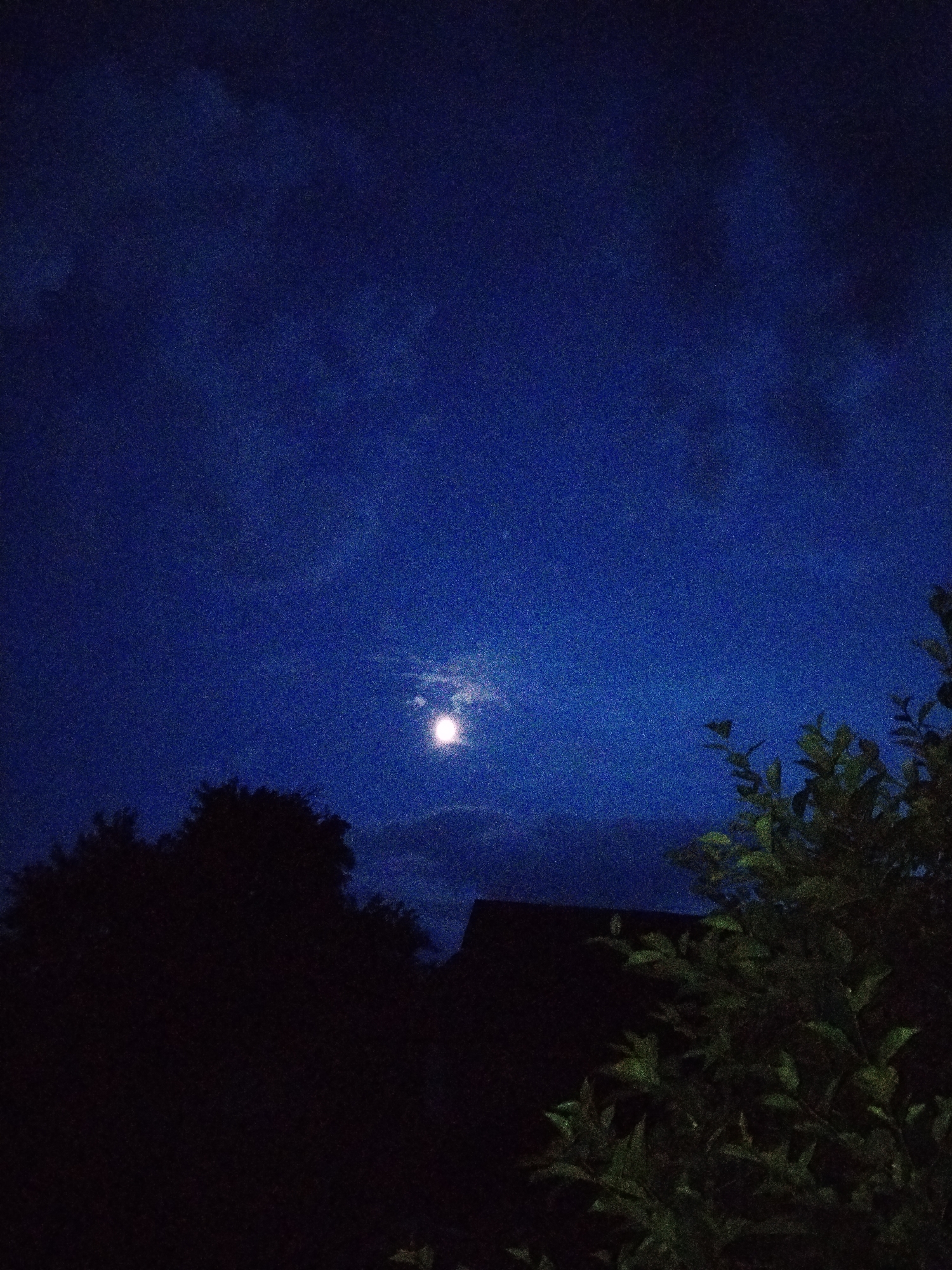 A nighttime photograph captures a dark blue sky with a bright moon visible slightly off-center to the left. The moon is partially obscured by faint clouds. In the foreground, silhouetted against the sky, are the dark shapes of trees on the left and foliage on the right. A dark, indistinct structure, possibly a roofline, is visible in the lower center of the image. The overall scene suggests an outdoor, likely rural or suburban, setting at night. The location is in the city of Ustyvytsia, Ukraine.