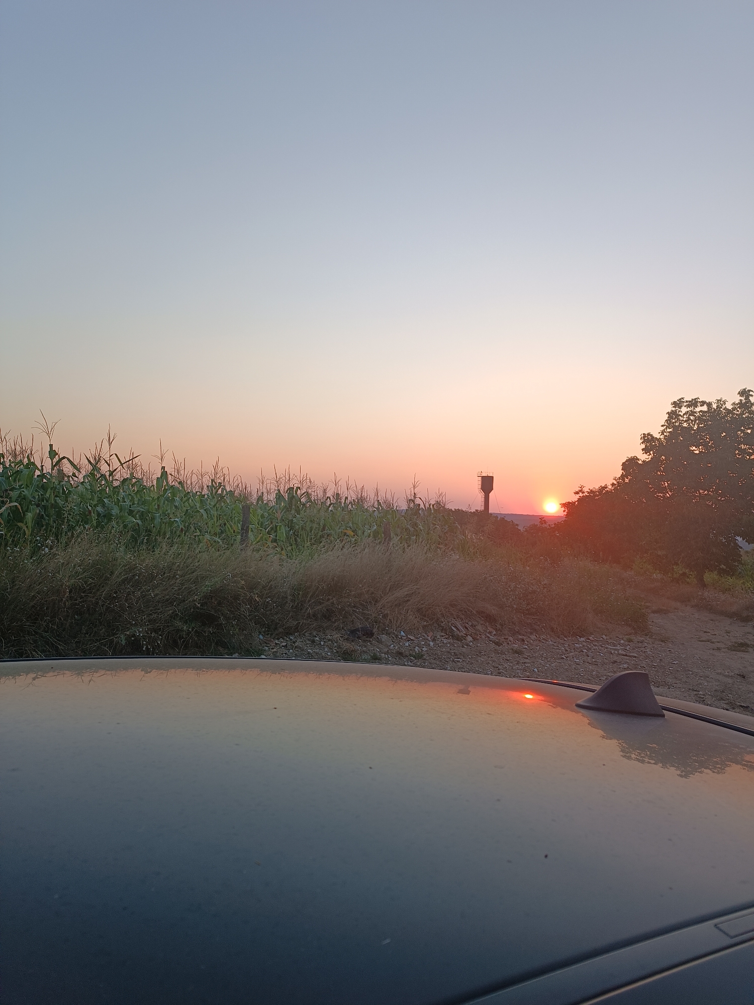 The image captures a tranquil sunset over a rural landscape, likely in or near Pănășești, Moldova. The foreground is dominated by the dark, reflective surface of a car roof, with a shark fin antenna visible. The midground features a lush cornfield bordering a patch of dry, wispy grass. Beyond the field, a tall water tower stands silhouetted against the horizon. The setting sun, a bright orange orb, casts a warm glow across the sky, blending into soft hues of pink and pale blue. A dense cluster of trees to the right of the water tower adds depth to the scene. The overall atmosphere is peaceful and serene, evoking a sense of quiet evening in the countryside.