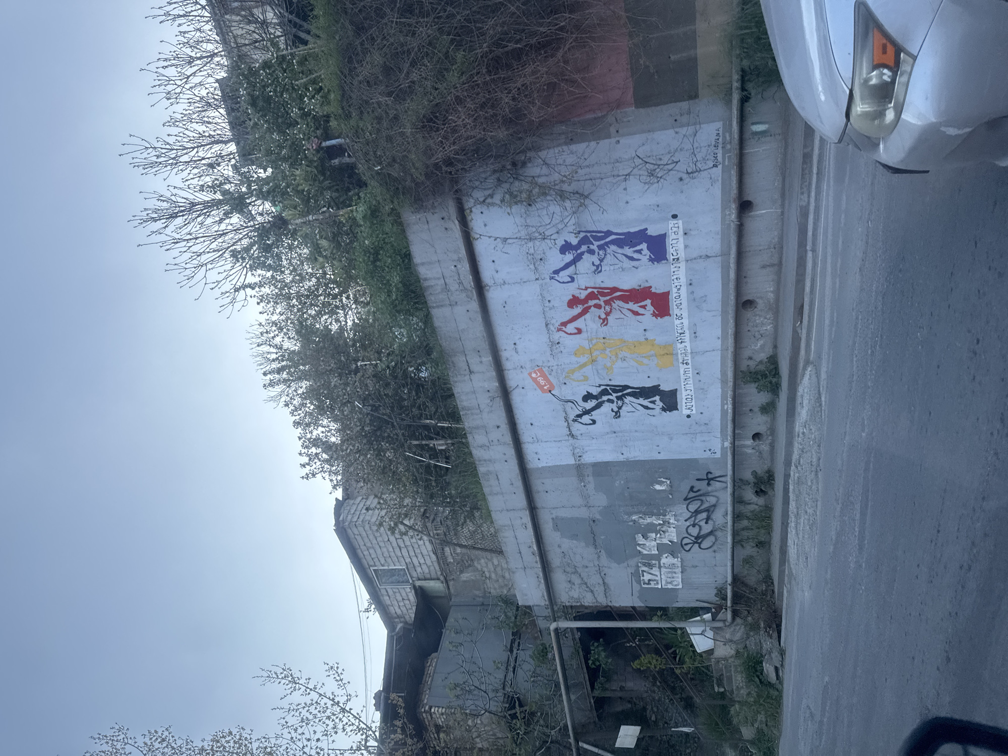 The image, oriented vertically, captures a vibrant street scene in Tbilisi, Georgia, under a bright, clear daytime sky. The primary focus is a concrete retaining wall or building facade that borders a road on the right.
The wall is adorned with striking street art, featuring four stylized figures, possibly mythical creatures or warriors, in dynamic running or lunging poses. These figures are rendered in bold colors: purple, red, yellow, and black, arranged vertically from top to bottom. Alongside these figures, text in Georgian script is visible. Specifically, fragments include 'DISCO LEVANA' near the top, 'ვეს ლაკი' (Ves Laki), 'და მიმოდიოდენ' (Da MimodiOden), 'და ამოვედი' (Da Amovedi), and 'დავსხედით' (Davskhedit). A small sticker displaying '1.99 GEL' (Georgian Lari) is also present, and other less legible graffiti, including numbers like '574', covers parts of the wall.
Above the wall, lush green foliage and vines grow, alongside trees with bare branches, suggesting the time of year is late winter or early spring. Behind this greenery, a weathered multi-story building with light-colored brick or stone siding and a small window is partially visible. On the far right, the front right section of a silver or white car, possibly a sedan or SUV, is seen on the adjacent asphalt road, its headlight clearly visible. The overall scene conveys an everyday urban environment, combining elements of nature, street art, and infrastructure. No people are visible, and no specific event is occurring.