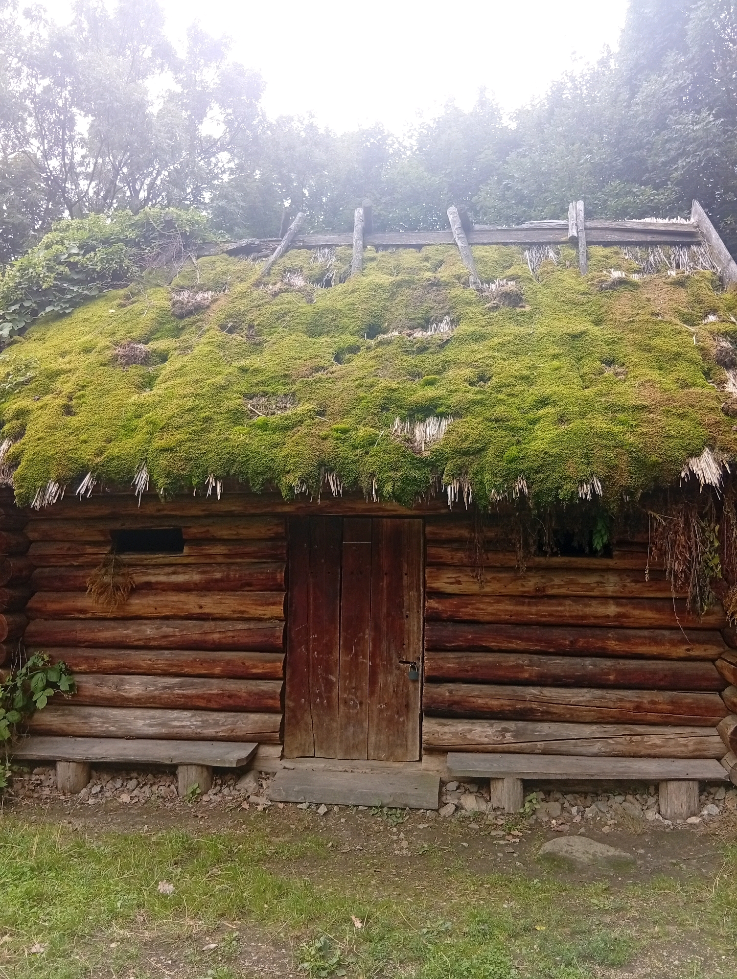 The image depicts a rustic wooden log cabin with a moss-covered thatched roof. The cabin has a weathered appearance, with horizontal logs forming the walls. There is a single wooden door in the center of the facade, and a small, dark rectangular window to the left of the door. Two simple wooden benches are placed in front of the cabin, one on each side of the door. The ground in front of the cabin is covered with grass and scattered stones and leaves. Behind the cabin, trees are visible, partially obscured by a hazy, overcast sky. The scene appears to be in a natural, possibly rural or historical setting. While the prompt mentions Będkowice, Poland, this specific detail cannot be visually confirmed from the image content alone. There are no people or animals visible in the photograph, nor any indication of activity or interaction.