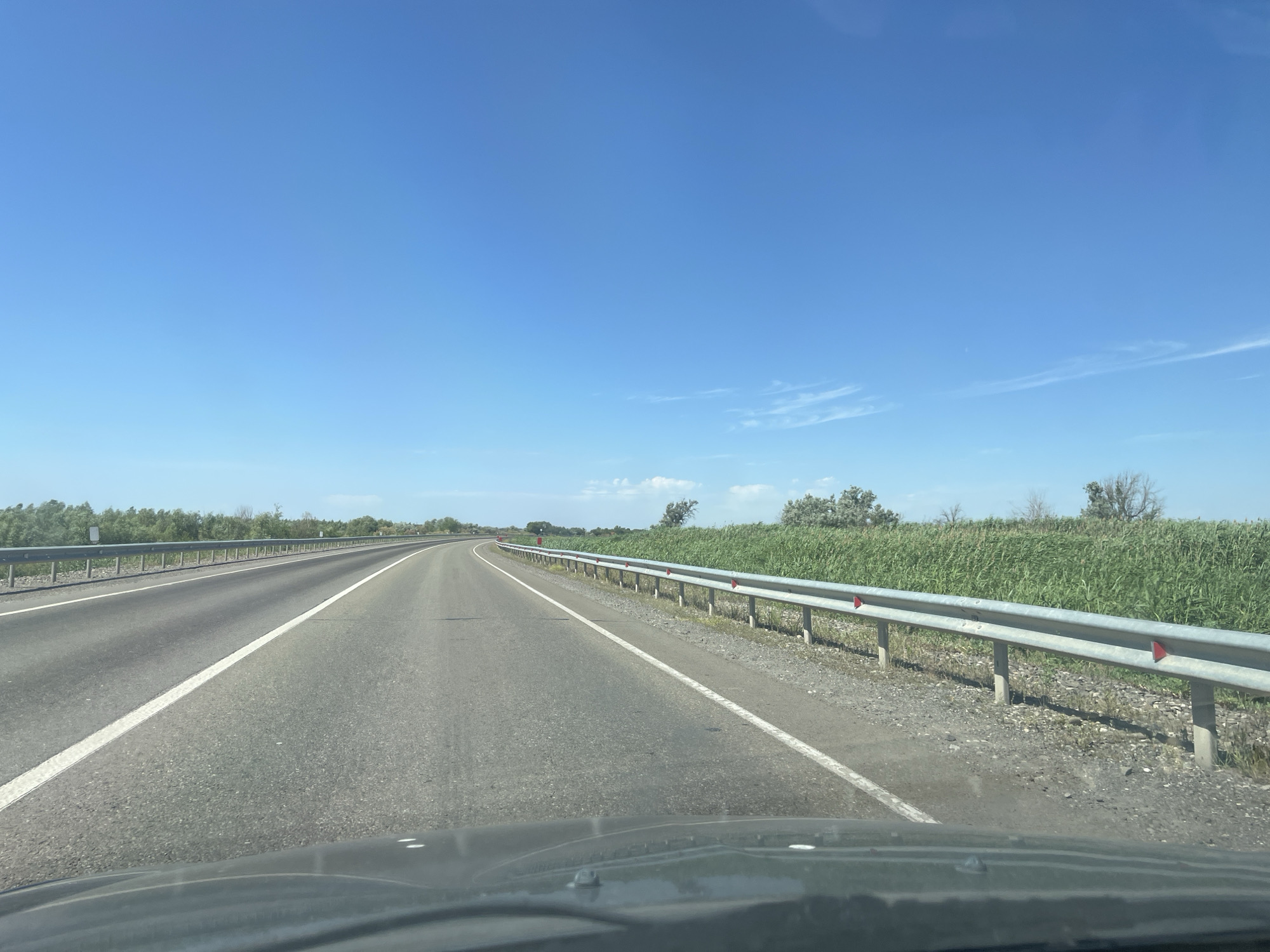 The image is a first-person perspective from inside a vehicle traveling on a multi-lane asphalt road under a clear blue sky. The road has white lane markings. On the left side of the road, a metal guardrail is visible, with a line of trees beyond it. On the right side of the road, a similar metal guardrail separates the road from a dense field of tall green grass. The guardrails have red reflectors. The lower portion of the image shows the dashboard and windshield of the vehicle. The scene suggests an open, rural landscape, possibly a highway in a region with extensive vegetation. The location provided, Bakhtemir, Russia, is consistent with this type of environment.