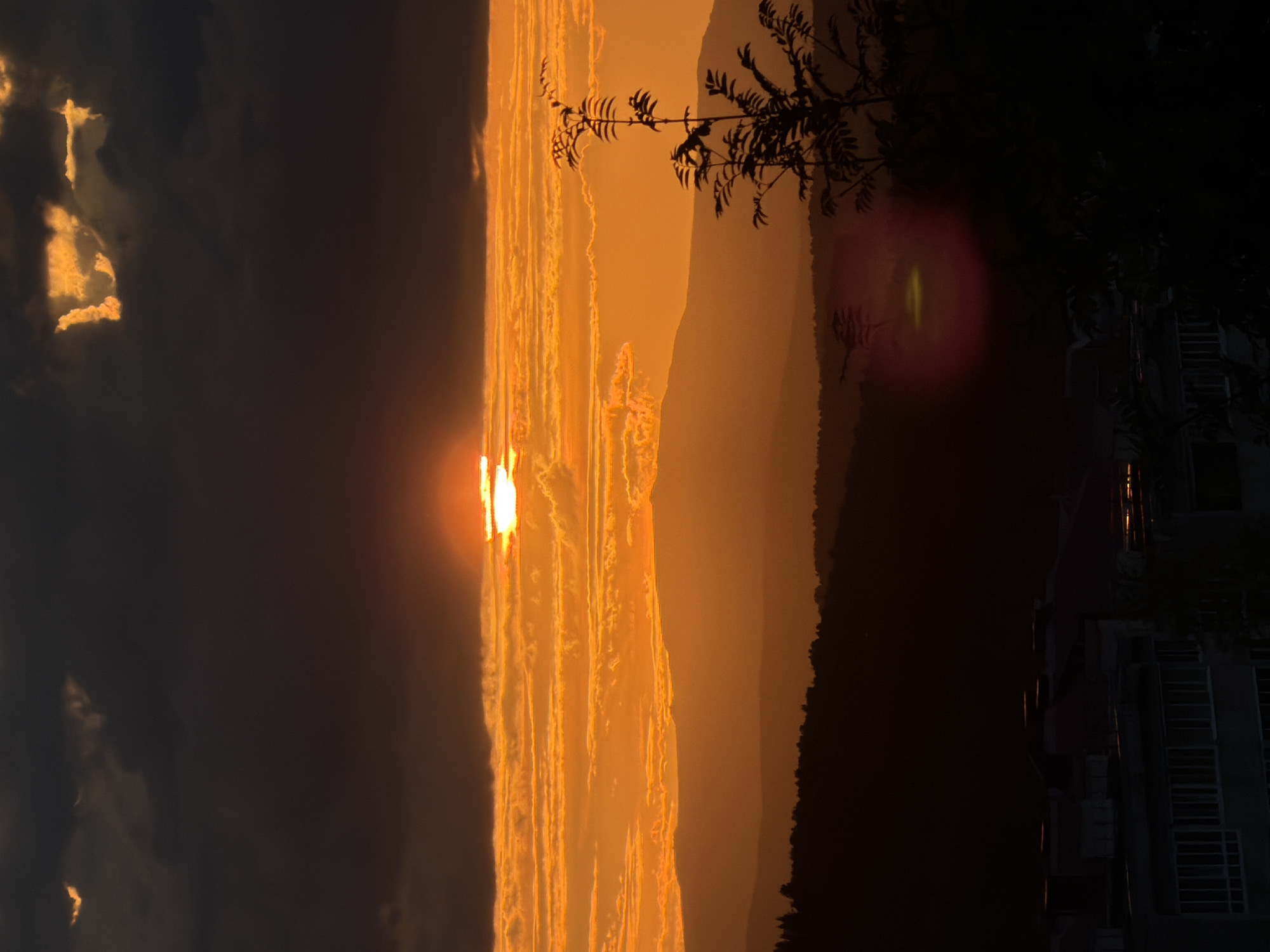 A vertical, medium shot captures a vibrant sunset over a layered landscape of hills and a city. The sun, partially obscured by dark, heavy clouds at the top, casts an intense orange glow through a band of lighter, textured clouds just below it. The middle ground features silhouetted mountain ranges, fading into softer orange hues. In the foreground, the dark silhouettes of rolling hills and scattered trees are visible. The bottom of the image shows the dark silhouettes of buildings in the city, with hints of reflected light on some of their surfaces. A single, spindly tree branch with leaves is silhouetted against the sky on the right side, and a circular lens flare with a yellowish center and pinkish outer ring is present in the lower right quadrant. The scene conveys a dramatic and warm atmosphere.