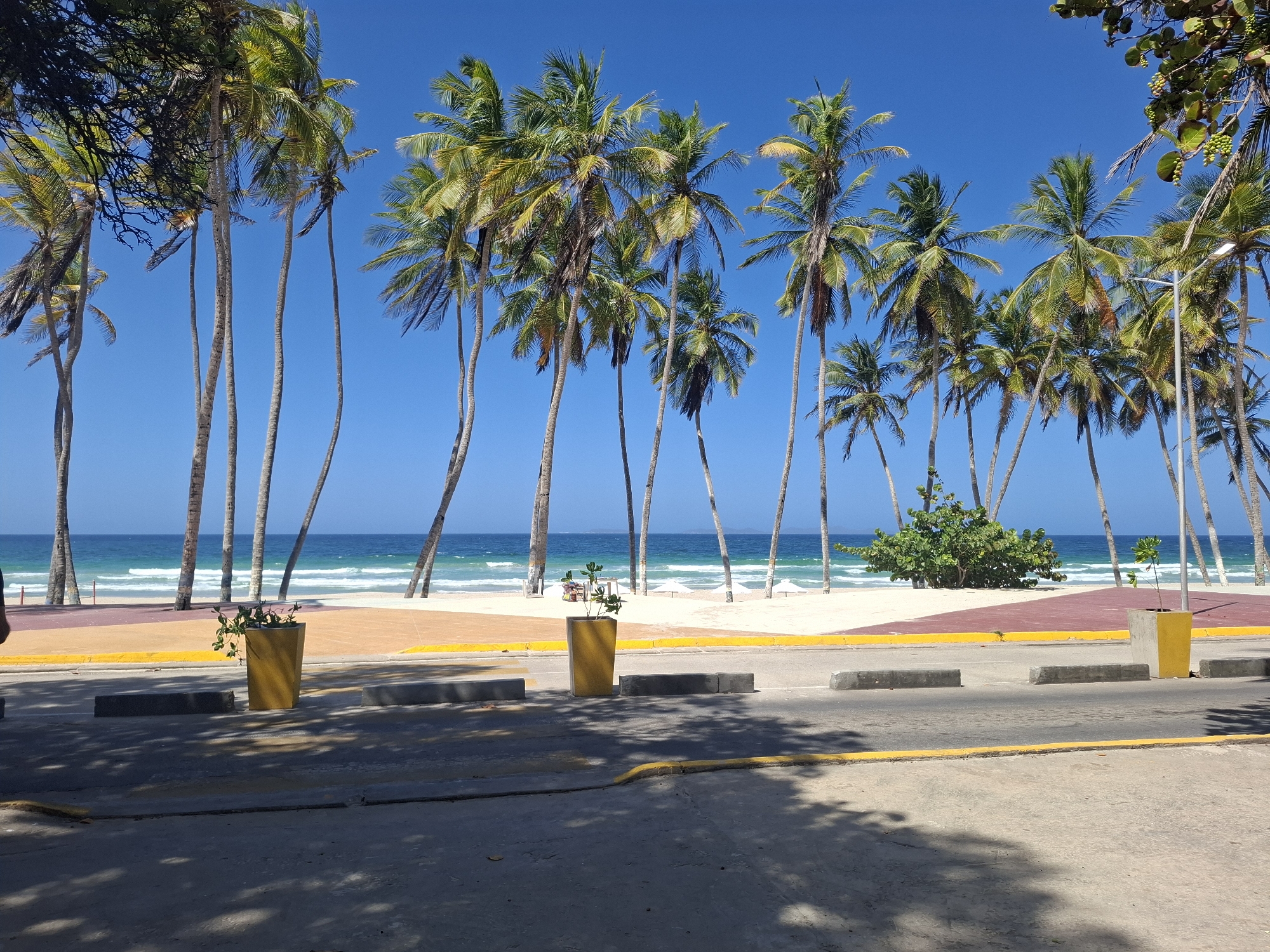 The image captures a vibrant, sunny view of Playa El Agua in Venezuela, showcasing a tropical beach scene. Tall, slender palm trees with lush green fronds dominate the upper two-thirds of the frame, reaching towards a clear, bright blue sky. Their trunks are visible, extending down to the sandy beach.
In the midground, the golden sand of the beach meets the turquoise and deep blue waters of the ocean, where gentle white waves are breaking. A paved promenade runs parallel to the beach, featuring sections of tan and reddish-brown pavement. Several yellow planters, some containing small green plants, are strategically placed along this paved area, enhancing the tropical aesthetic. Further down the beach, a dense green bush stands out against the sand and ocean.
The foreground consists of an asphalt road or pathway with concrete curbs and a yellow painted line, suggesting a coastal drive or pedestrian area. Shadows from unseen overhead foliage or structures are cast across this paved surface.
The scene depicts a peaceful and inviting environment. The time of day appears to be mid-morning or early afternoon, given the bright sunlight and minimal shadows directly beneath the palm fronds. The weather is perfectly clear and sunny. There are no people visible, and no specific activities or events are taking place, presenting a serene landscape. No visible text is present in the image.