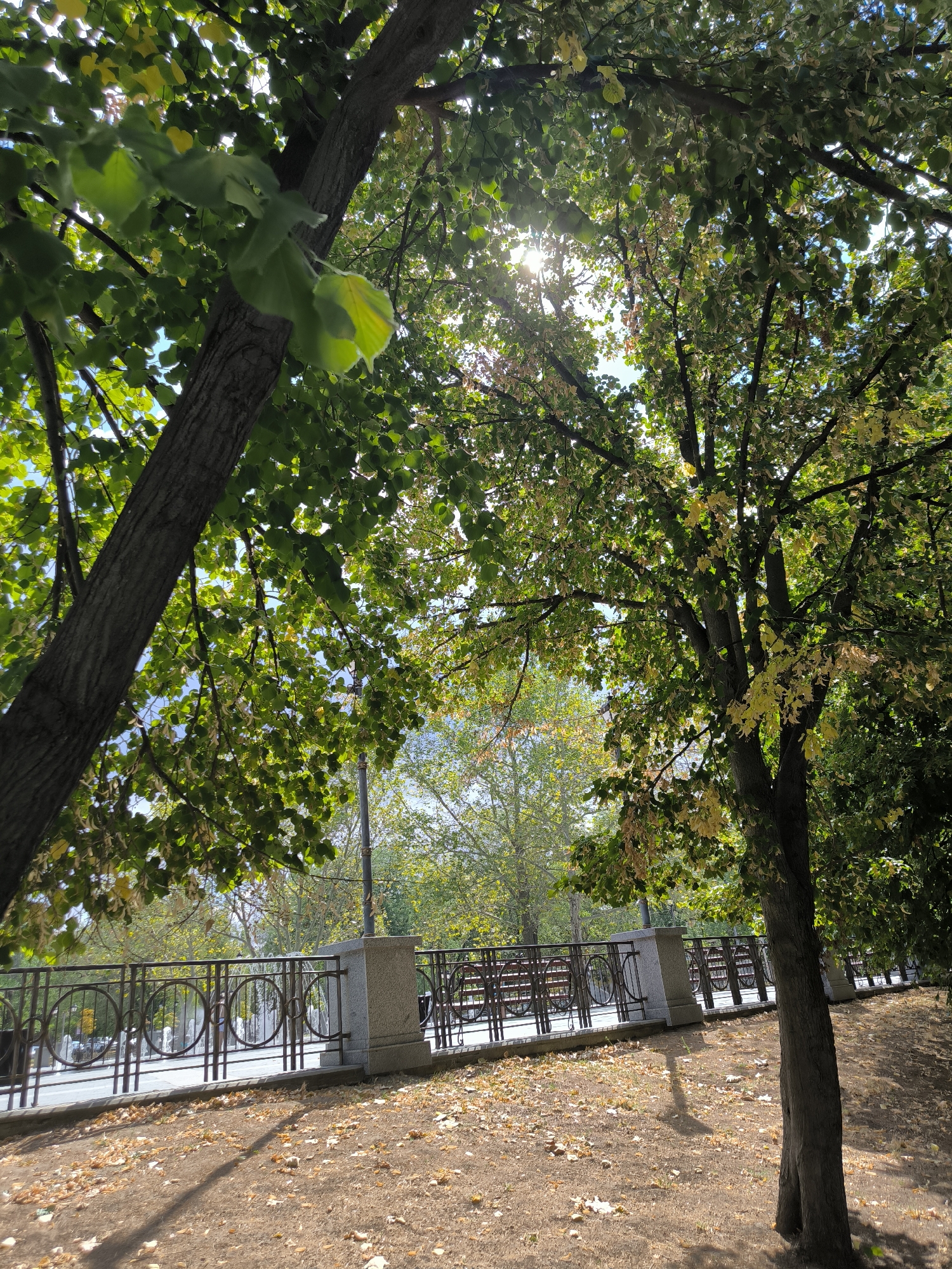 This image depicts a park scene, possibly in Mykolaiv, Ukraine, during autumn. The foreground is covered with dry, fallen leaves on dirt ground, with dappled sunlight creating shadows from the trees. Two large trees with textured bark are prominent on the left and right sides of the frame, their branches filled with green and yellowing leaves, indicating the changing season.
Behind the trees, a decorative metal fence with circular patterns runs horizontally across the image. This fence is supported by stone pillars. Beyond the fence, there is a paved walkway and what appears to be a fountain with several water jets spraying upwards. In the background, more trees with autumn foliage are visible, and the sky is a bright blue with some sunlight breaking through the tree canopy. No people are clearly visible in the scene. The overall atmosphere is one of a peaceful, autumnal day in an urban park.