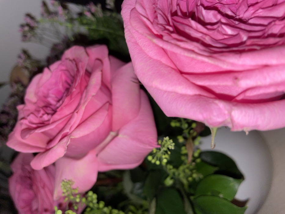 The scene displays a close-up view of a floral arrangement. Prominently featured are multiple pink roses, with two large, fully bloomed specimens dominating the foreground and mid-ground. The rose in the lower right foreground is partially cropped, revealing its densely packed, textured petals. Another large pink rose is positioned slightly behind and to the left, exhibiting similar petal characteristics. A third, less defined pink rose is visible in the upper left background. Interspersed among the roses is lush green foliage, characterized by small, globular bud clusters and smooth, dark green leaves. In the blurred background, slender stems with small, light purple floral elements are discernible. The arrangement rests within a white, curved container, consistent with a vase, partially visible at the lower left. The lighting is soft and consistent, indicating an indoor setting. This scene is located in Boreti, Montenegro.