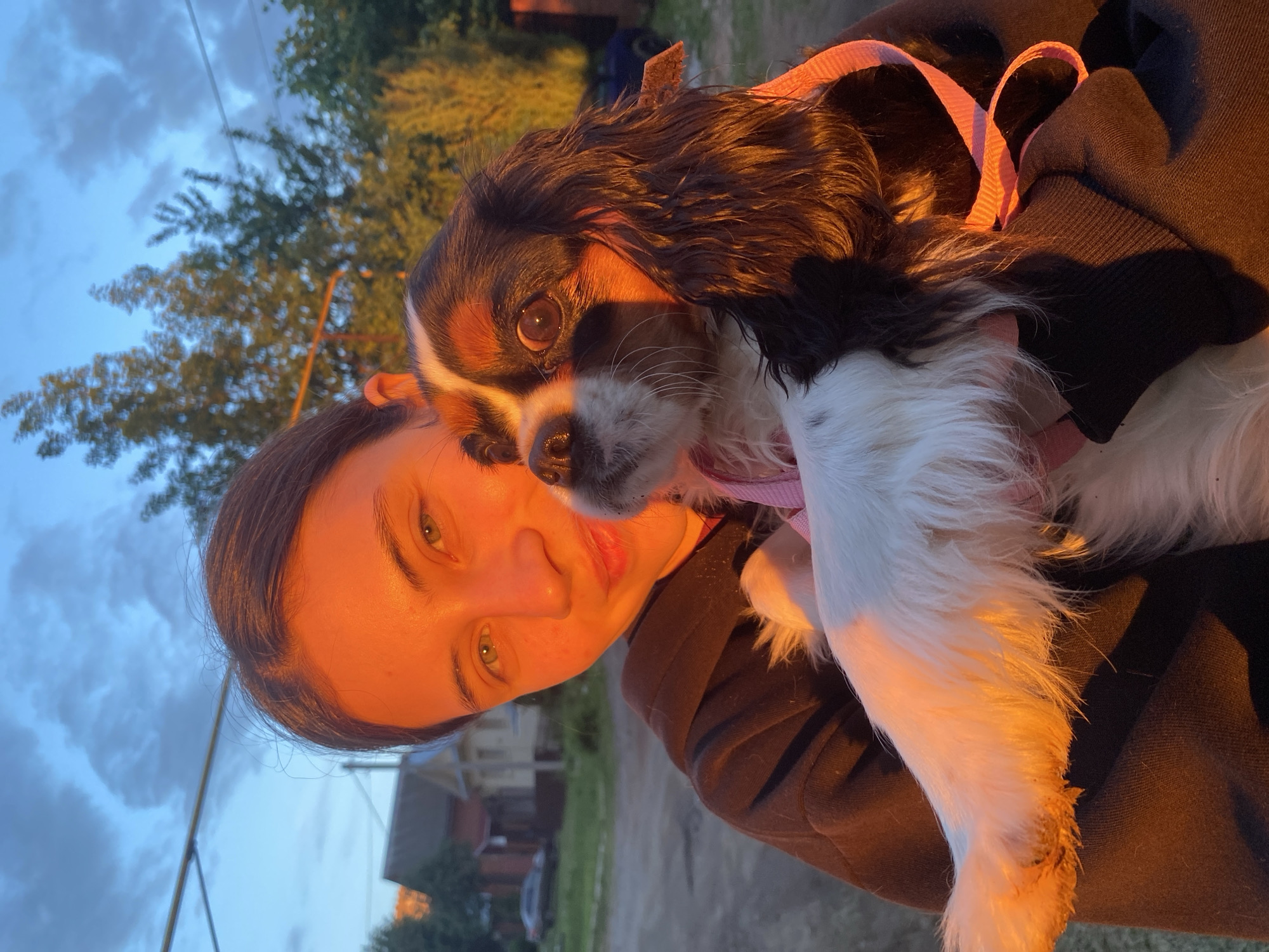 A woman is holding a Cavalier King Charles Spaniel dog. The dog has a pink collar. The woman is wearing a brown hoodie. The background shows a house and trees against a blue and cloudy sky. The photo was taken outdoors, possibly at dusk or dawn, based on the golden light on the subjects and the sky. The location is Votkinsk, Russia, based on visual assessment of possible surrounding buildings that may look like those in Votkinsk.