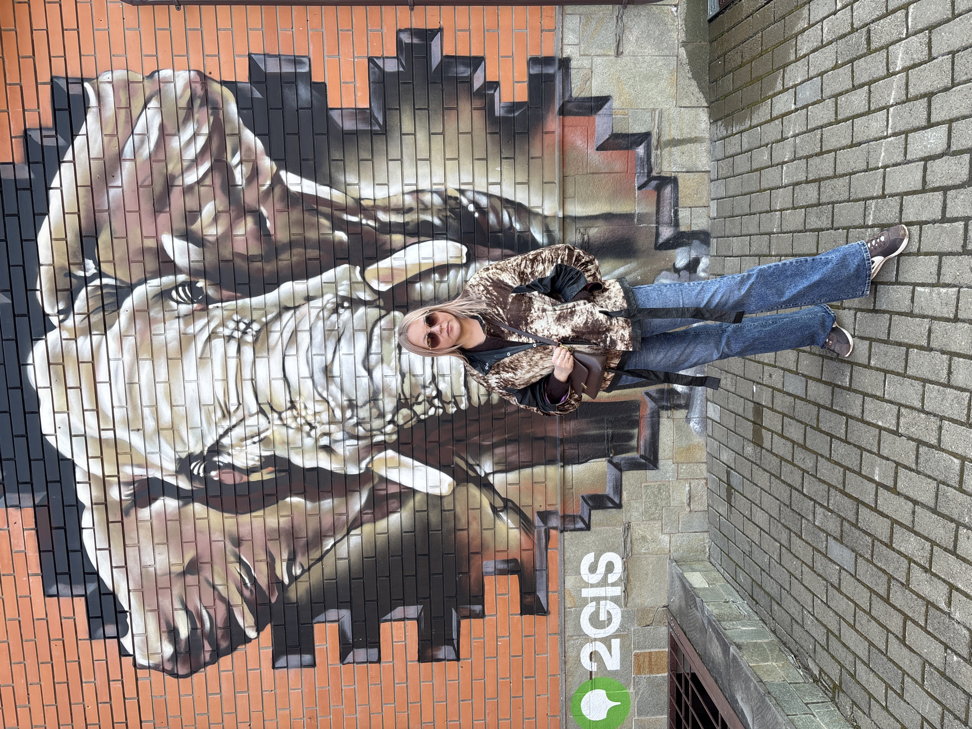 A young woman stands in front of a brick wall mural depicting an elephant. The mural is painted on red and black bricks. The woman wears jeans, a brown jacket, and sunglasses. To the right of the mural, the wall is gray. At the bottom of the image, the logo "2GIS" is visible. The scene is Izhevsk, Russia.