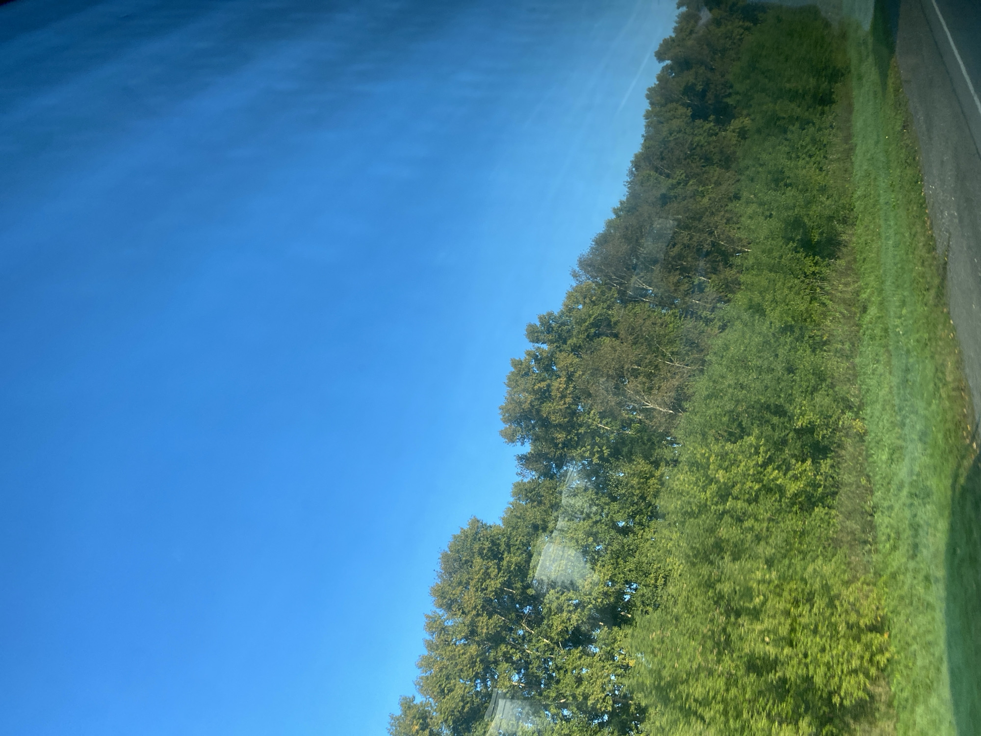 The image shows a bright blue sky over a dense line of trees and foliage. The trees are a mix of green and autumnal brown, suggesting it may be late summer or early autumn. In the foreground, there is a strip of green grass and a section of what appears to be a road or path. The scene is shot from a slightly elevated perspective, possibly from a moving vehicle given the slight blur and streaking effect on the right side of the sky, which could be reflections or atmospheric conditions. There are no people or animals visible in the image. The location in Kemerovo, Russia is not discernible from the visual elements in the photograph itself.