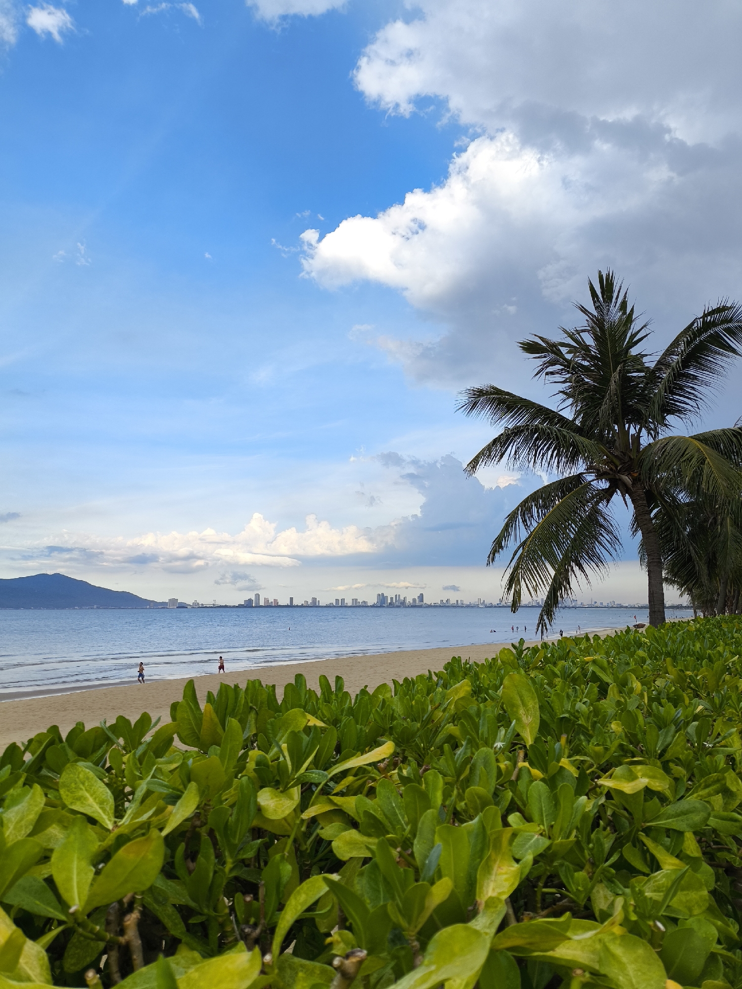 This image depicts a scenic beach view in Đà Nẵng, Vietnam. In the foreground, lush green bushes with vibrant leaves fill the lower portion of the frame, creating a natural border. Beyond the bushes, a sandy beach stretches out, meeting the calm, blue ocean. Several people are visible walking along the shoreline, enjoying the beach.
In the mid-ground, the ocean extends towards a distant city skyline, characterized by numerous buildings and structures. A large mountain range is visible to the left, forming a dramatic backdrop to the coastal landscape. A prominent palm tree with its fronds spread wide stands on the right side, adding to the tropical ambiance.
The sky is a mix of bright blue with scattered white and grey clouds, suggesting a dynamic weather pattern, possibly a partly cloudy day. The lighting indicates it is daytime, with the sun casting a soft glow over the scene. The overall mood is peaceful and inviting, conveying a sense of relaxation and the beauty of a coastal vacation. There is no visible text in the image.