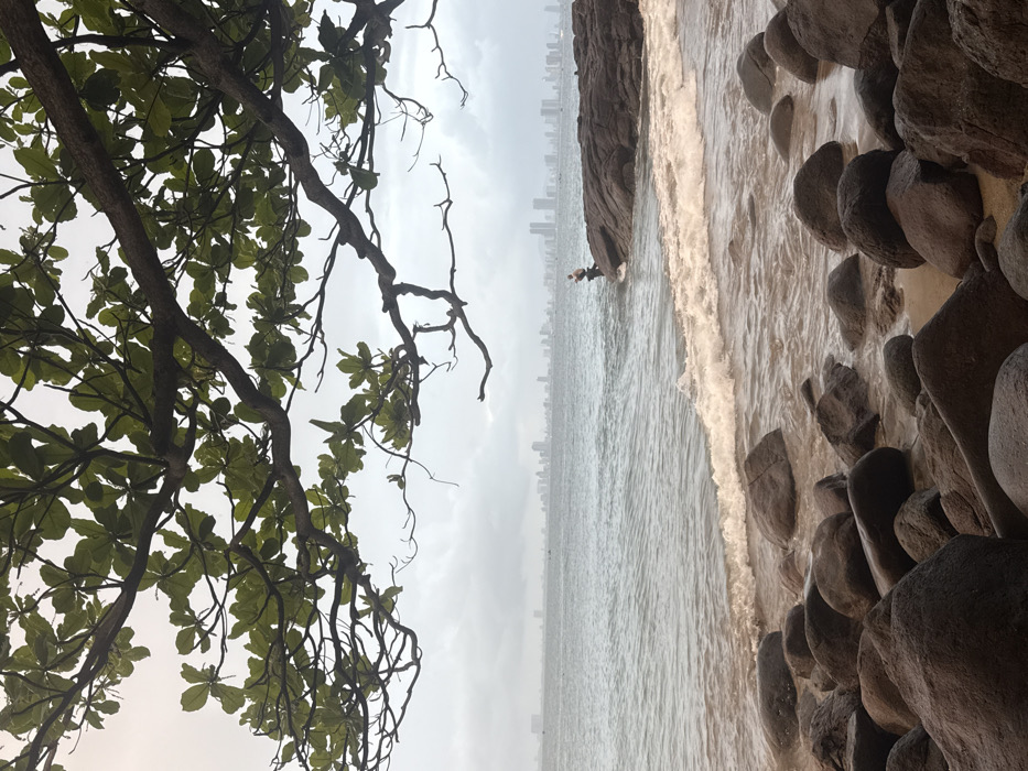 This image depicts a rocky coastline in Sơn Trà Ward, Vietnam, under an overcast sky. The foreground features numerous dark, wet boulders distributed along the shoreline and partially submerged in the ocean. A white-foamed wave is observed breaking against these rocks in the lower midground. Overhanging branches of a tree, densely covered with green leaves, frame the upper portion of the scene. In the midground, a single individual, wearing light-colored clothing, stands on a dark rock formation that extends into the water from the right. This person is positioned facing the water, appearing to be engaged in an activity at the water's edge. The background displays a wide expanse of grey ocean, beyond which a dense urban skyline composed of multiple high-rise buildings is visible on the distant horizon. Faint outlines of small vessels are present on the water between the midground and the distant cityscape.