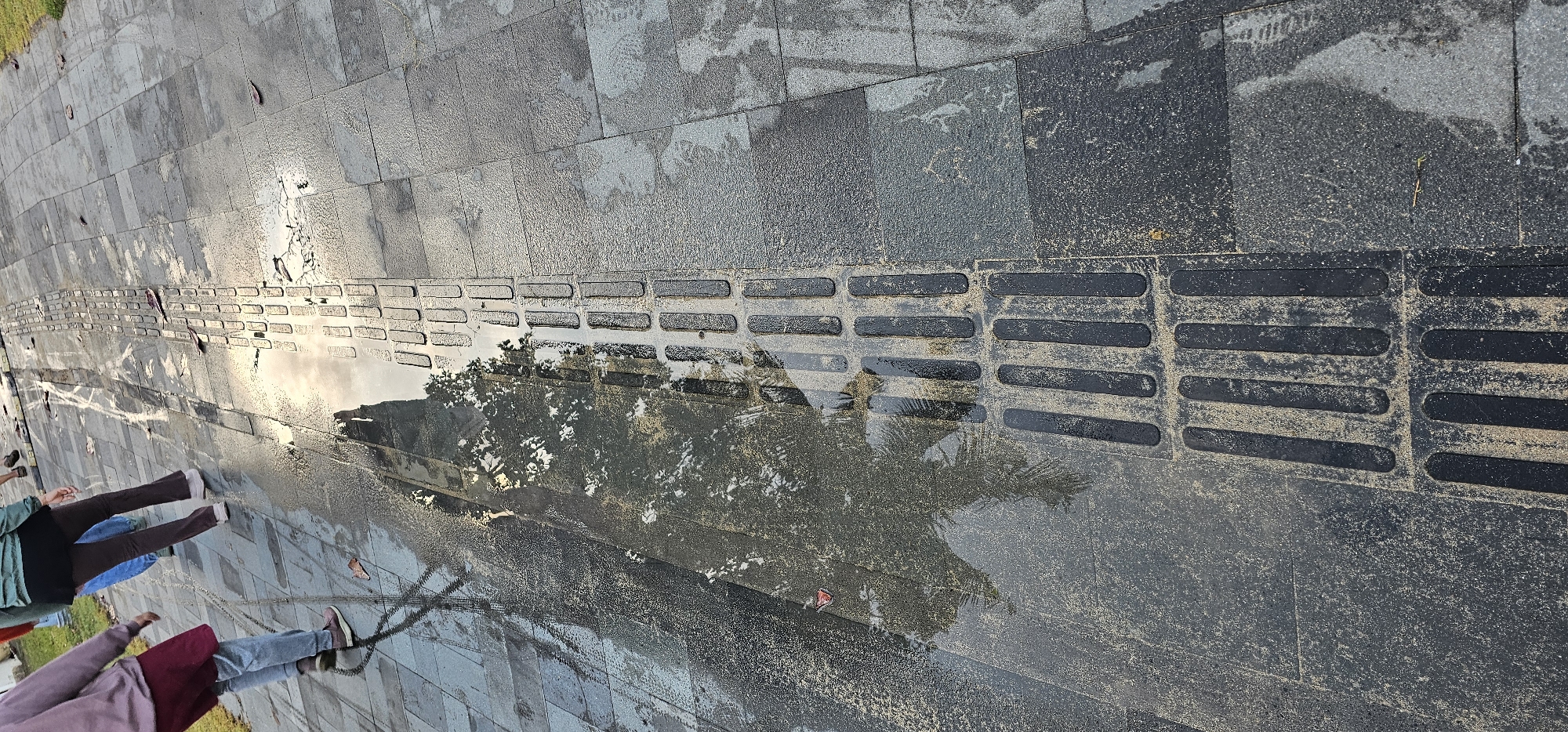 The image captures a wet, paved pedestrian area in Denpasar, Indonesia. The paving consists of a mix of gray and black granite stones, laid in irregular shapes. A strip of textured, dark gray paving with raised, elongated rectangles runs horizontally across the image, likely a tactile paving system to aid visually impaired pedestrians. The wet surface reflects the surrounding environment, including trees and the sky. The feet and lower legs of three people are visible along the bottom left, suggesting their presence in the area.