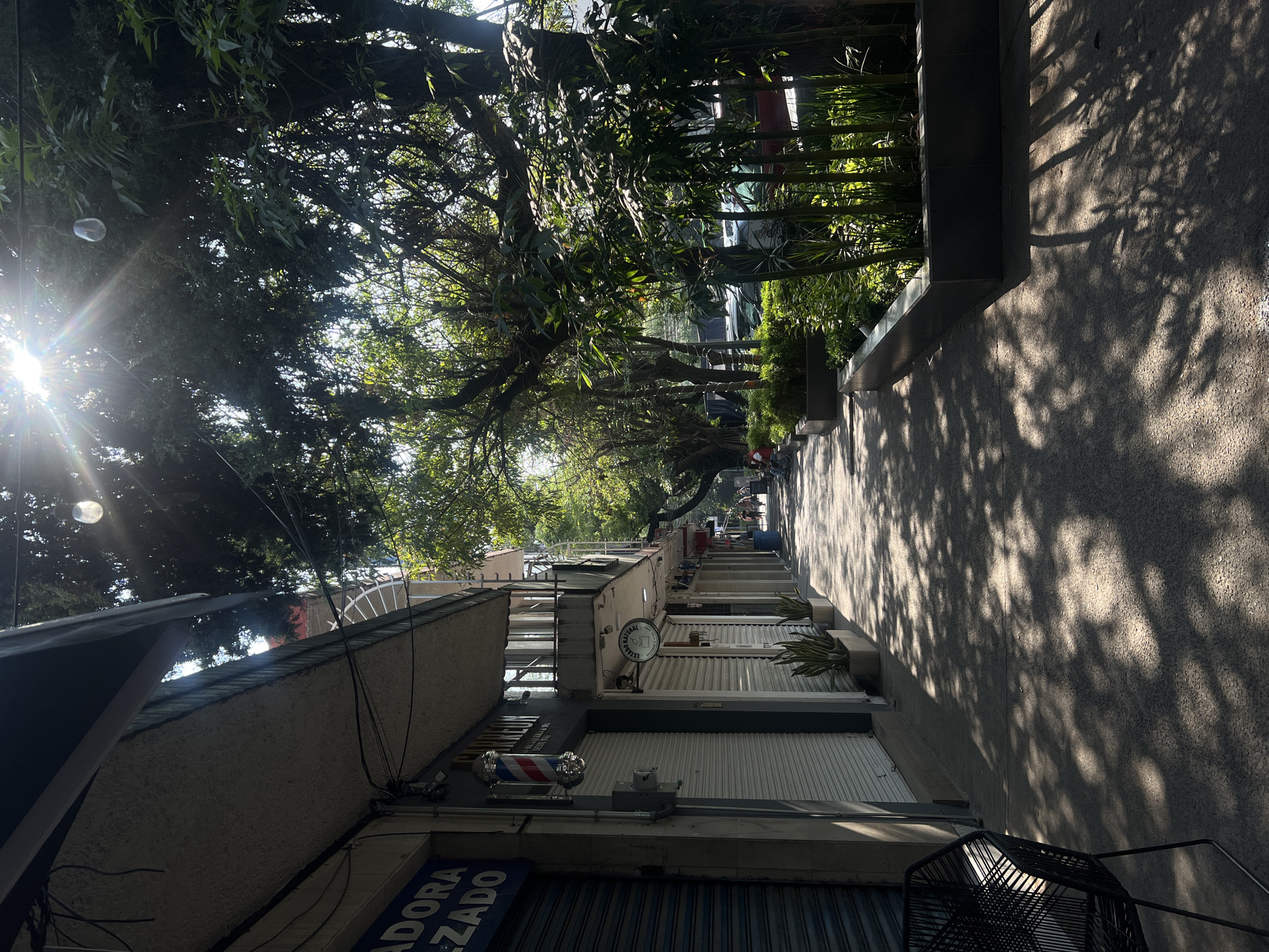 The image shows a street scene in Mexico City, Mexico. The view is a long perspective down a narrow street lined with small shops, mostly closed with metal shutters. The street is paved and shaded by trees overhead, casting dappled shadows. The shops are old, and the overall scene is slightly weathered. There is a barber shop and other shops on the right. In the distance, a few people can be seen. The street is empty of traffic. The sun is visible in the top left of the frame.