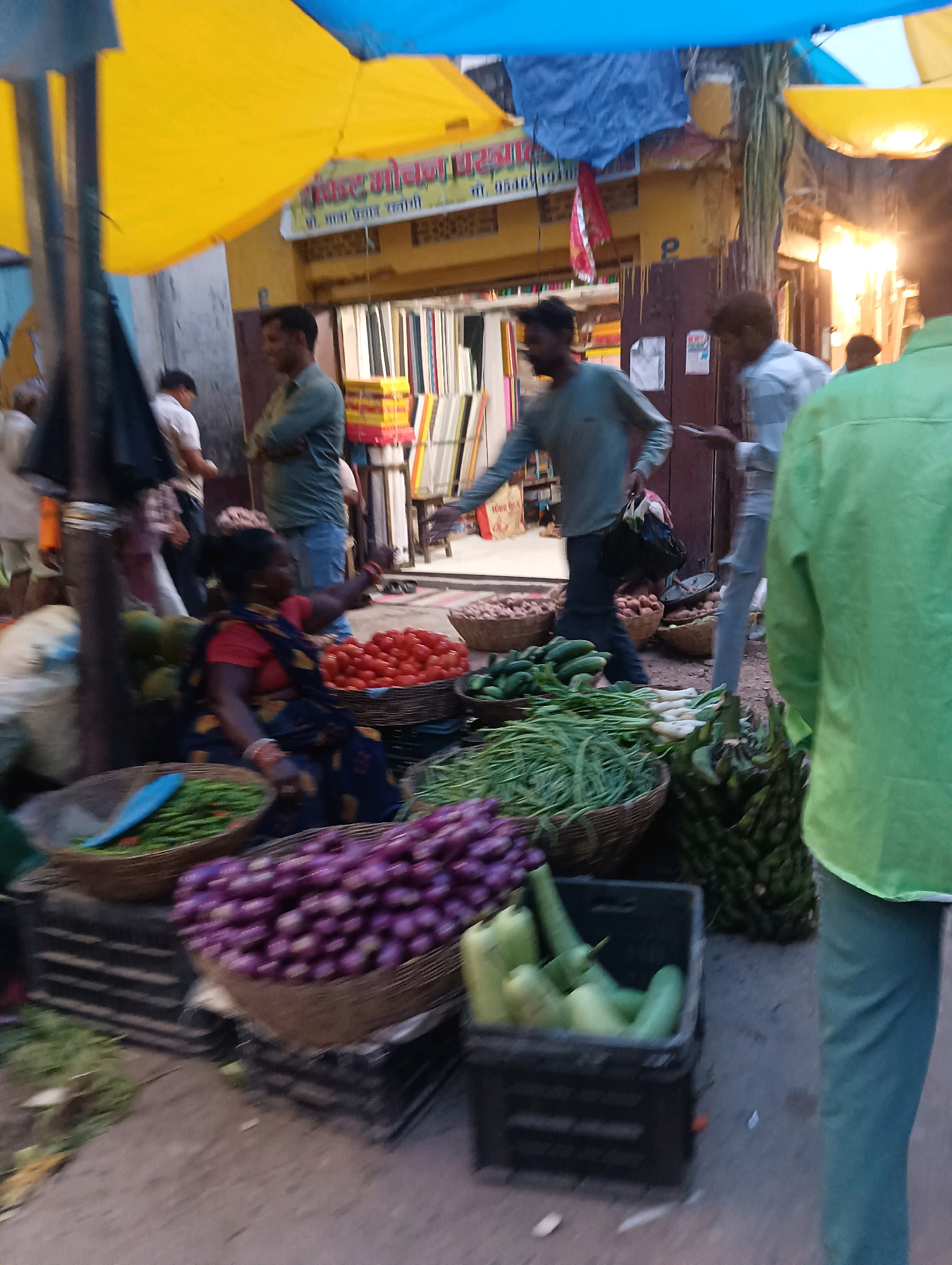 This is a street market scene in Dakhin Parsa, India. A woman in a blue and red sari is seated in the foreground, surrounded by produce. To her left are baskets of green beans and tomatoes. Behind her, to her right, is a large basket of purple eggplants. Other vegetables, including cucumbers and gourds, are visible in baskets and crates. Several men are also present in the scene, some appearing to be shoppers and others vendors. The market is covered by yellow and blue tarps. A building with signs in a foreign script is visible in the background. The overall impression is of a busy, open-air market.