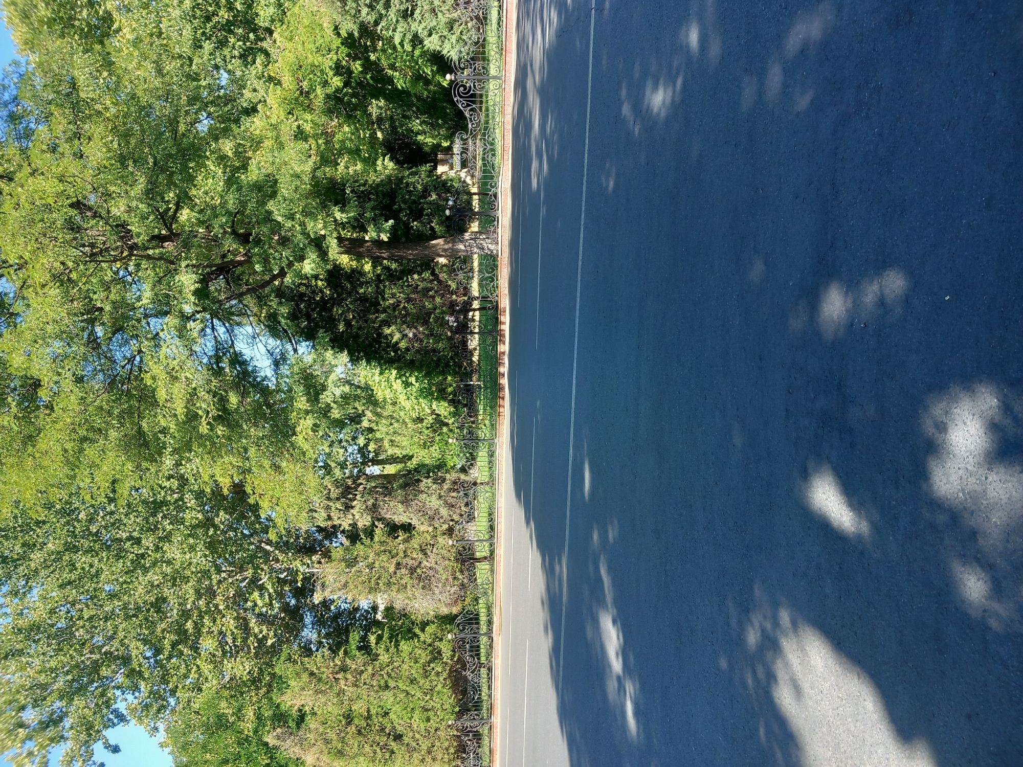 The image shows a paved road in Samarkand City, Uzbekistan, with a lush green park on the opposite side. The park is bordered by an ornate black metal fence with decorative finials. Tall trees with dense green foliage dominate the park, creating a shaded area on the road. The road is asphalt with a white dividing line. Shadows from the trees are cast across the road, indicating a sunny day. There are no people or vehicles visible in the frame. The scene depicts a serene, urban green space.