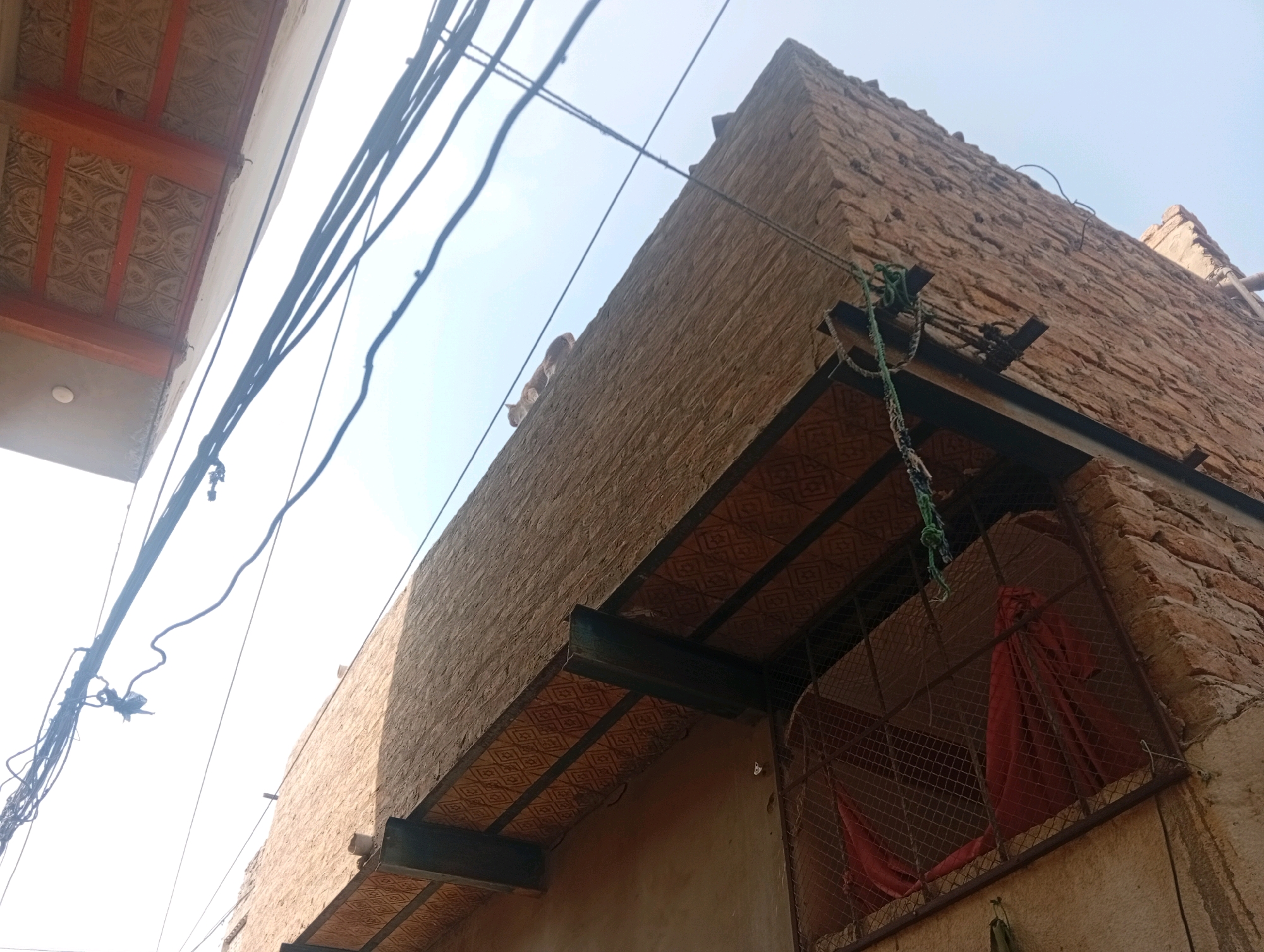 The image shows an exterior view of a brick building in Larkana, Pakistan, with a clear blue sky overhead and several electrical wires running across the frame. The building features a tiled overhang with a geometric pattern, supported by metal beams. A section of the building has a barred window with red fabric visible inside. In the upper portion of the image, a ginger-colored cat is perched on the edge of a brick ledge, looking towards the left. The lighting suggests it is daytime.