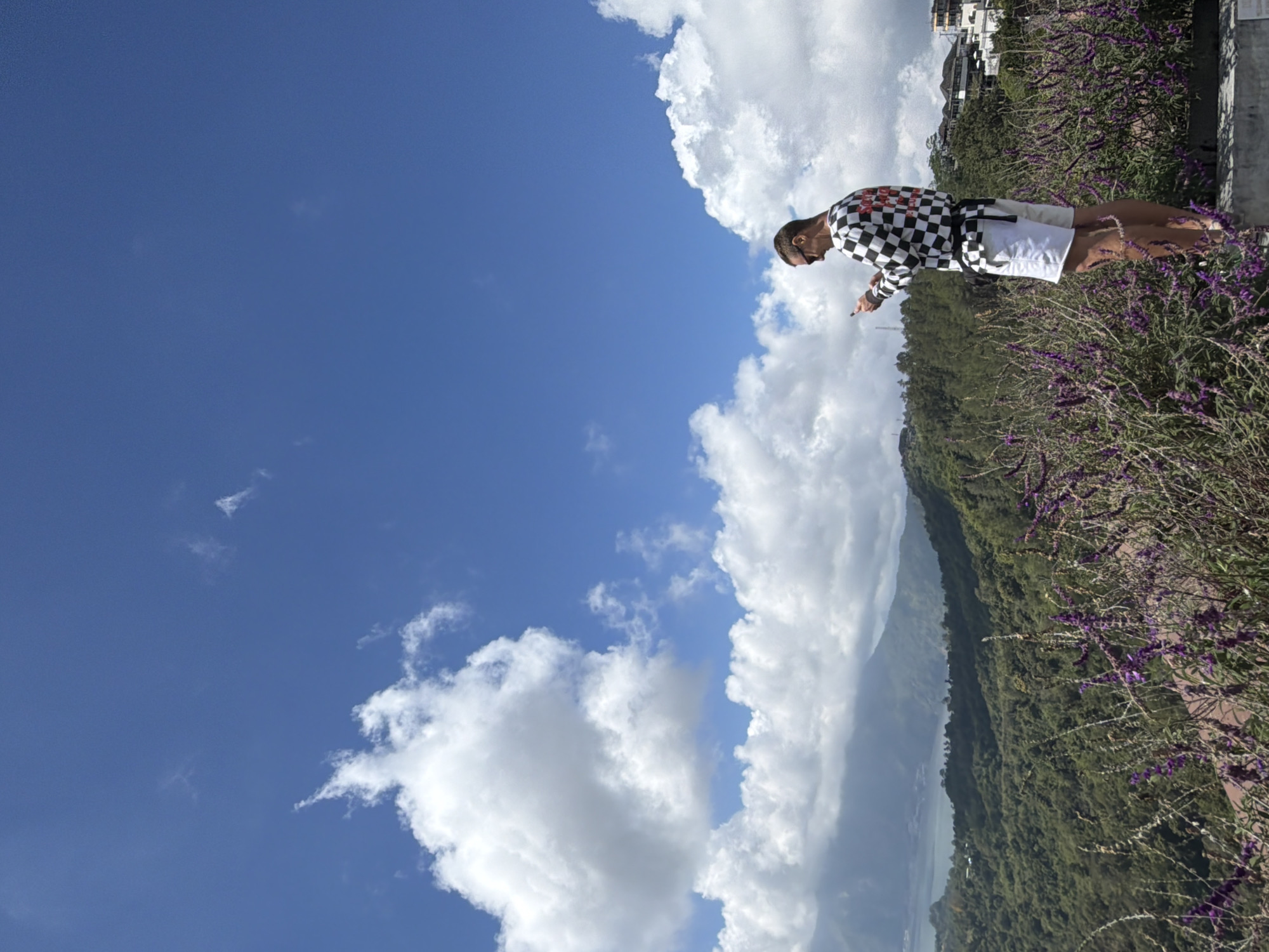 A person stands on a ledge overlooking a lush, green mountainous landscape in Kintamani, Indonesia. The person, viewed from the side, wears a black and white checkered long-sleeved shirt, white shorts, and sunglasses. They are holding a mobile phone and looking down at it. In the foreground, purple flowers bloom. In the background, a large body of water, likely a lake, is visible, surrounded by the rolling hills of the volcano. The sky is a vibrant blue, dotted with fluffy white clouds. The scene captures a moment of quiet observation amidst a breathtaking natural vista.