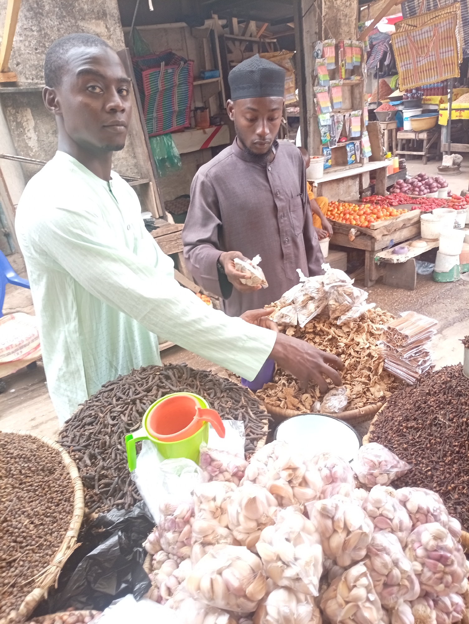 This image depicts a bustling market scene in Maiburiji, Nigeria, focusing on a stall laden with spices and produce. Two men are central to the composition. In the foreground, a man wearing a light green long-sleeved shirt looks directly at the camera with a neutral expression, his right hand positioned over a pile of dried goods. Behind him, another man in a dark brown tunic and a black skullcap is seen looking down, holding small clear plastic bags containing market items.
The stall showcases a variety of goods. In the foreground, there are large piles of dark, dried, elongated pods (likely African pepper/uda pods), small dark brown seeds in a woven basket, and numerous clear plastic bags filled with garlic cloves. A significant amount of dried, light brown, flaky material, possibly dried ginger or kola nuts, is also displayed, with smaller packaged bags of the same product on top. To the right, a large mound of dark brown cloves is visible. A light green and orange plastic jug rests on the dried pods, and a small mirror is placed among the spices.
In the background, other market stalls are visible, featuring fresh produce like piles of red tomatoes, red peppers, and red onions arranged in wooden crates and on tables. Various packaged items hang from overhead structures. The setting appears to be an outdoor or semi-outdoor market, characterized by wooden structures and concrete walls, with ample natural light indicating daytime. A partially visible white sack in the lower left corner displays some text, including "T.R.P" and numbers like "HT 445 335". The men appear to be engaged in vending or managing the market stall.