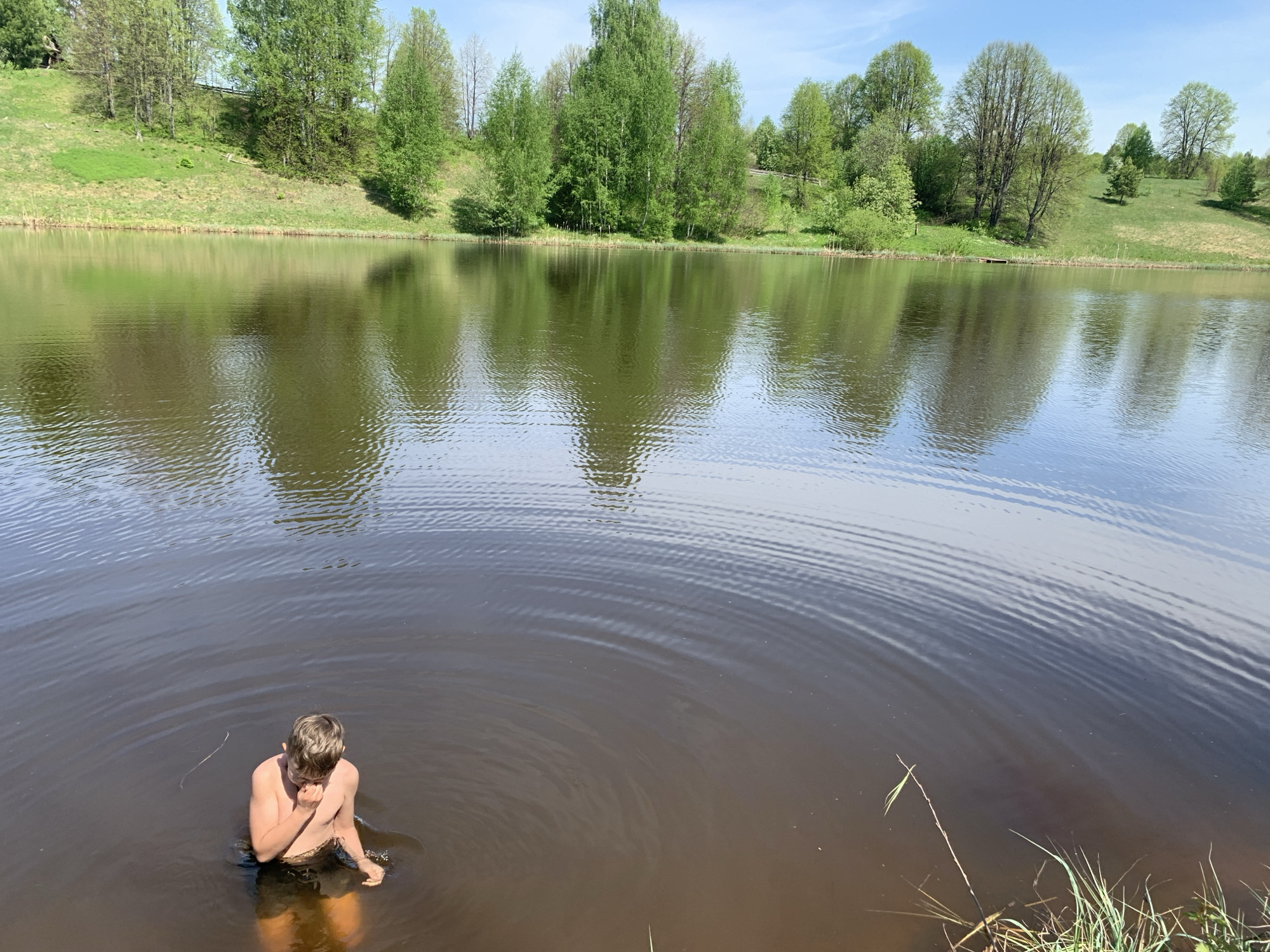 The image depicts a body of water with a person partially submerged.
**Subject:** A young person is standing in the water, positioned in the lower left quadrant of the frame.
**Environment:** The water is murky and appears to be part of a lake or pond. There are visible ripples and reflections on the water's surface. In the background, a grassy landscape rises, dotted with trees.
**Objects:** Vegetation, specifically tall grass, grows along the water's edge on the lower right of the image.
**Location:** Based on visual clues and the inclusion of the city name in the request, the location is likely a body of water located within or near Zasechnyi, Russia. The landscape is characterized by rolling hills and temperate vegetation.
**Actions:** The person in the water is touching their face with one hand.