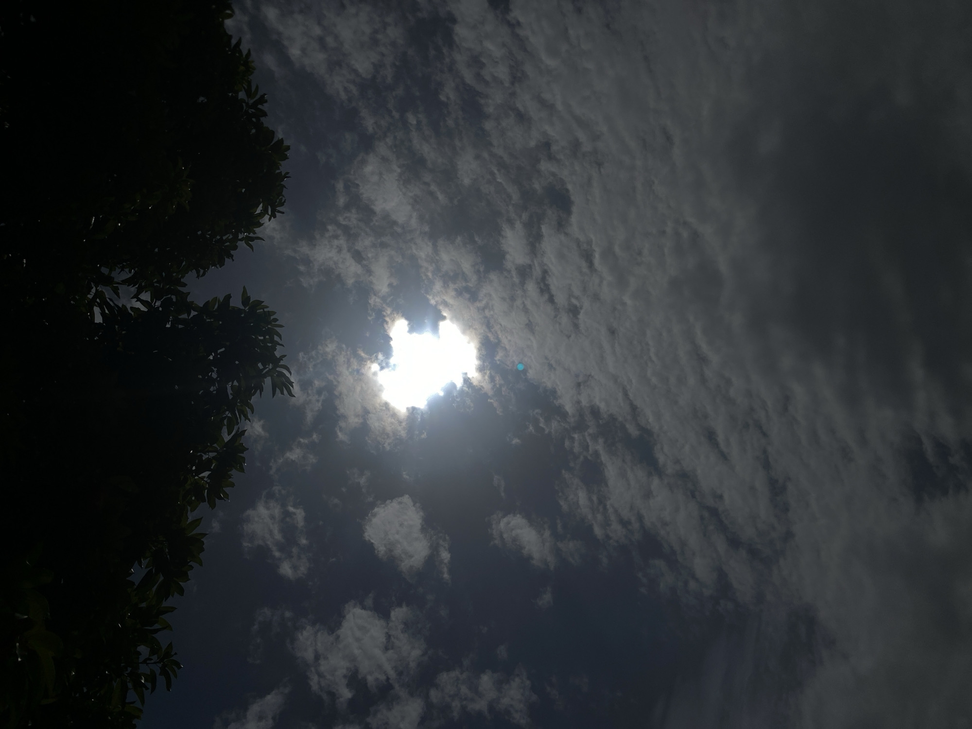 The image presents an upward view of a cloudy sky with the sun brightly shining through an opening in the clouds. The sky is largely covered by varying shades of grey and white clouds, which appear scattered and textured across the frame. The sun, a brilliant white light source, is positioned slightly above the center-right, casting intense light and producing a small blue lens flare to its immediate right.
In the lower-left portion of the image, the dark silhouette of dense tree foliage is prominently featured. The leaves and branches are backlit, appearing as opaque, dark shapes against the bright sky, offering no specific detail of the tree species.
There are no people or specific man-made objects visible. The scene captures a natural environment, likely outdoors in Barden Yana, Nigeria. The time of day is clearly daytime, indicated by the high sun, possibly mid-morning to late afternoon. The weather is partly cloudy, with the sun breaking through the cloud cover. No visible text is present in the image. The high contrast between the luminous sun and the dark tree foliage creates a dramatic visual effect.