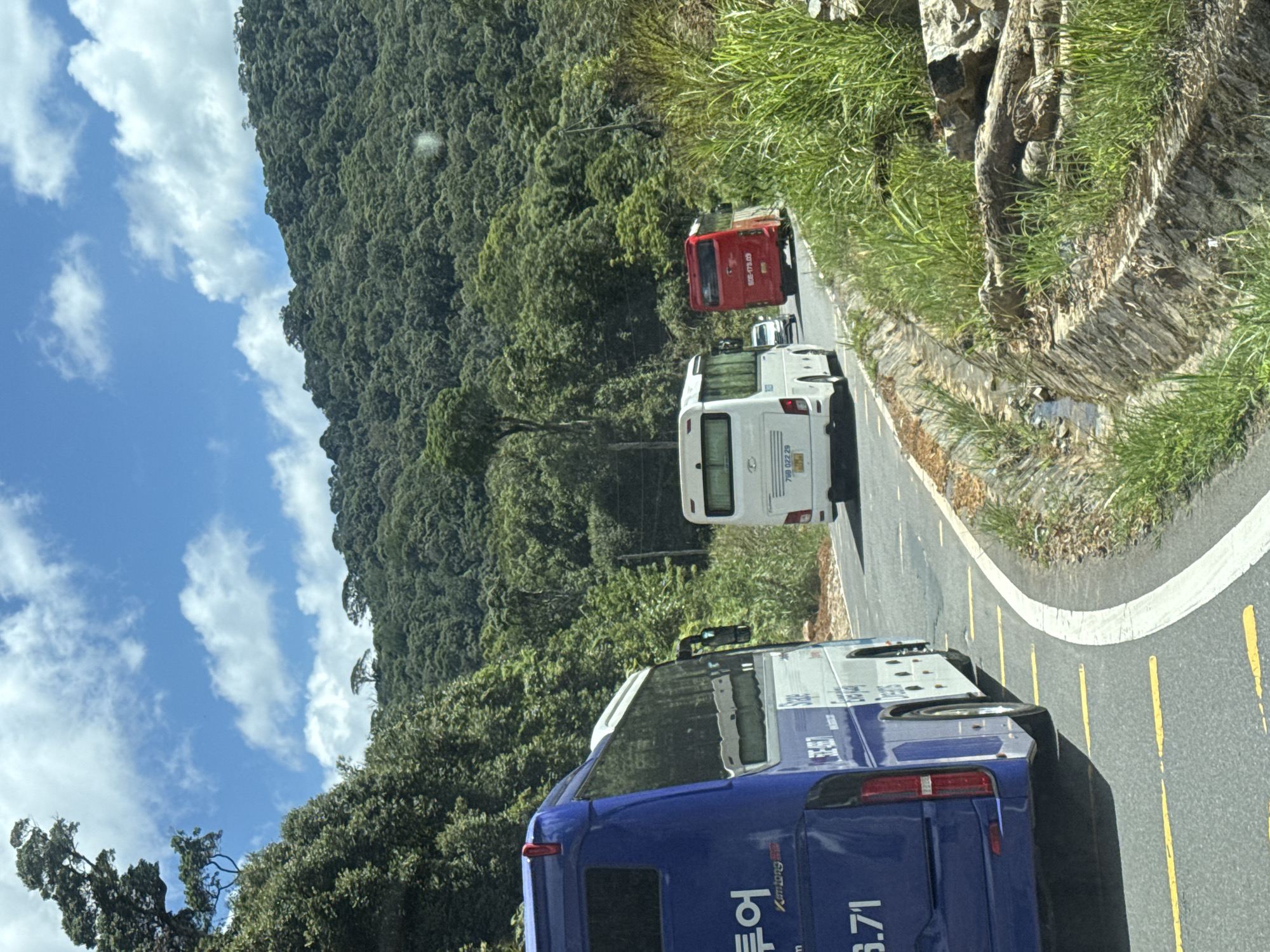 A convoy of buses travels along a paved road bordered by lush green vegetation and a drainage ditch. The road curves to the right as it ascends a densely forested mountainside under a blue sky dotted with white clouds. The lead vehicle, a blue tour bus, is partially visible on the left. Further ahead, a white passenger bus, followed by a red bus, are also on the road. The mountainous terrain is covered in a thick canopy of trees.