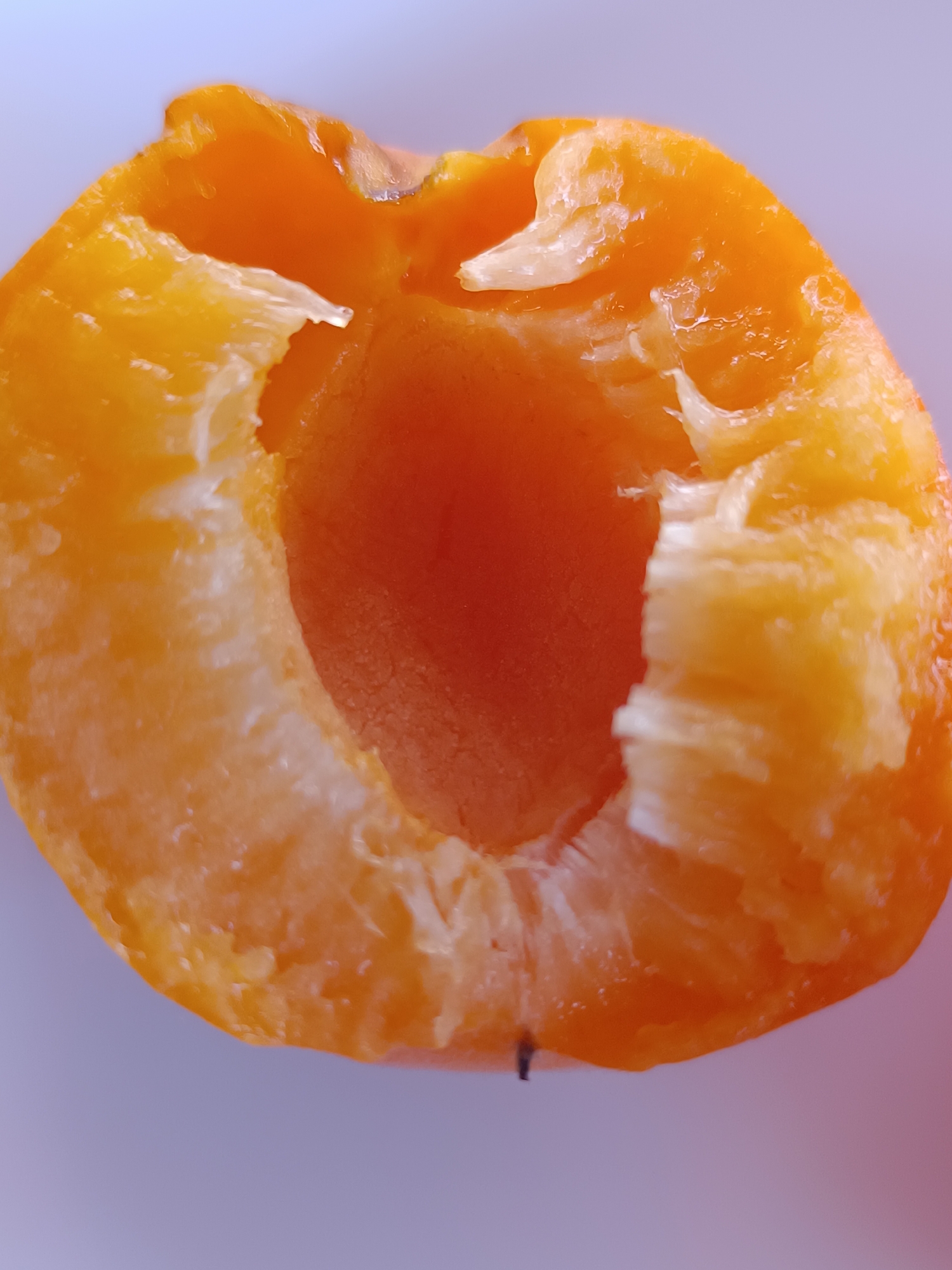 A close-up, top-down view of a halved, ripe apricot is shown against a light purple background. The apricot has been cut vertically, revealing its inner flesh and the empty cavity where the pit was once located. The flesh of the apricot is a vibrant orange, with some lighter yellow hues near the skin. The texture of the flesh appears soft and slightly pulpy, with visible fibrous strands. The skin of the apricot is a smooth, bright orange. A very small, dark speck, possibly a piece of debris or a tiny insect, is visible on the bottom edge of the apricot. The lighting highlights the glossy surface of the fruit, suggesting a fresh and juicy quality. The background is smooth and out of focus, drawing attention entirely to the apricot.