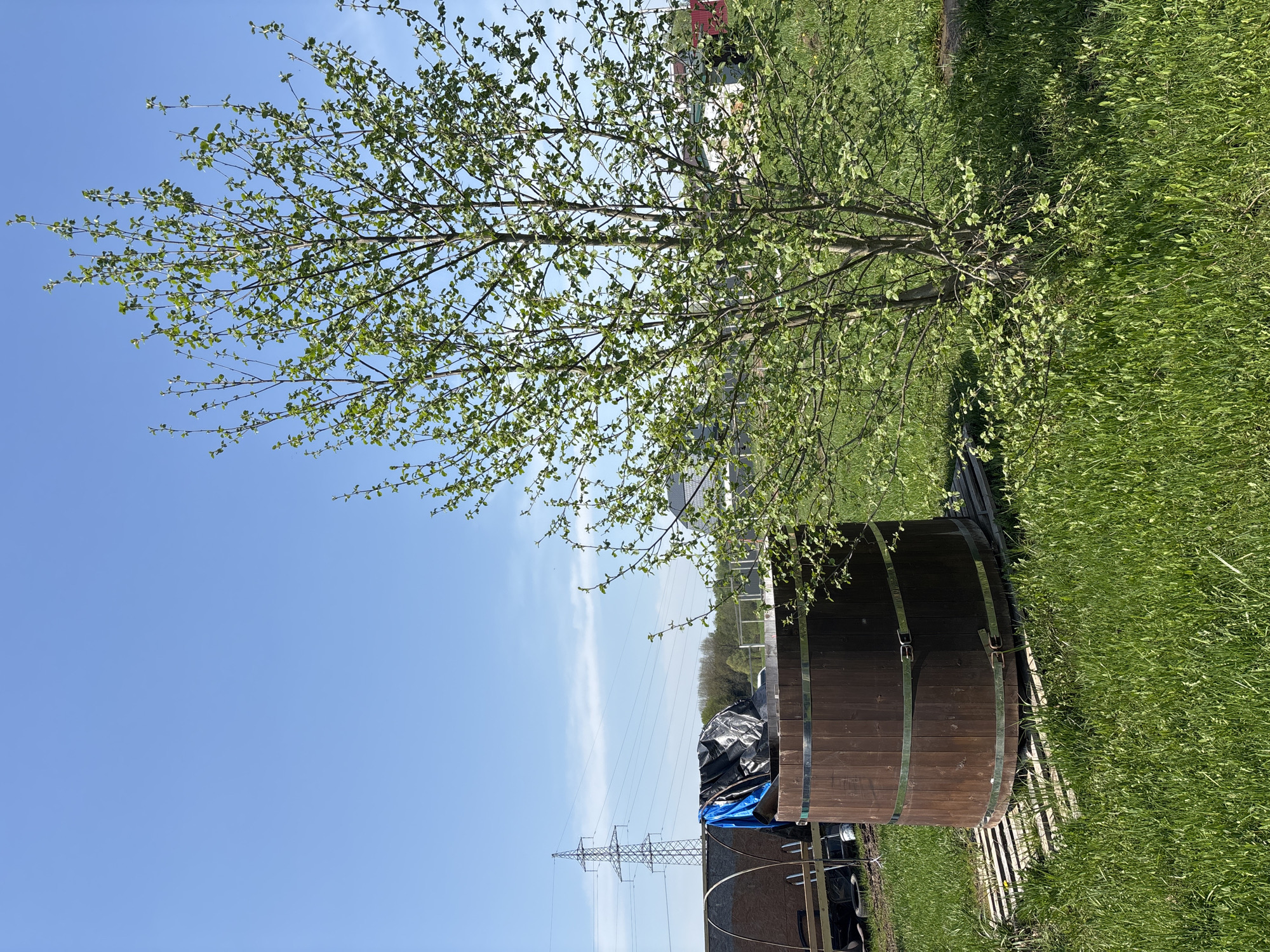 A landscape photograph taken in Раздолье, Russia, depicts a wooden tub partially obscured by a young tree with light green leaves against a blue sky. A section of green grass fills the upper right. The tub appears to be a modern cedar hot tub. A black and blue tarp covers items near the tub. A lattice-type structure is partially visible behind the tub and tarp. In the distance, power lines and towers are visible against the sky. Buildings are also seen at a distance.