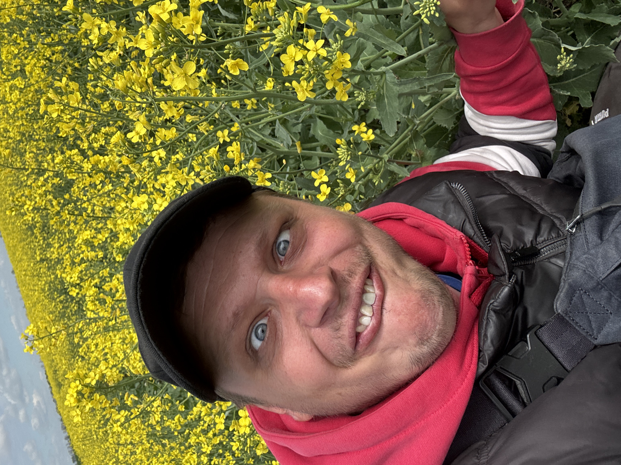 A man wearing a black cap, a red hoodie, and a black jacket is smiling at the camera. He is standing in a field of yellow flowers, which appear to be rapeseed. The location is unknown.