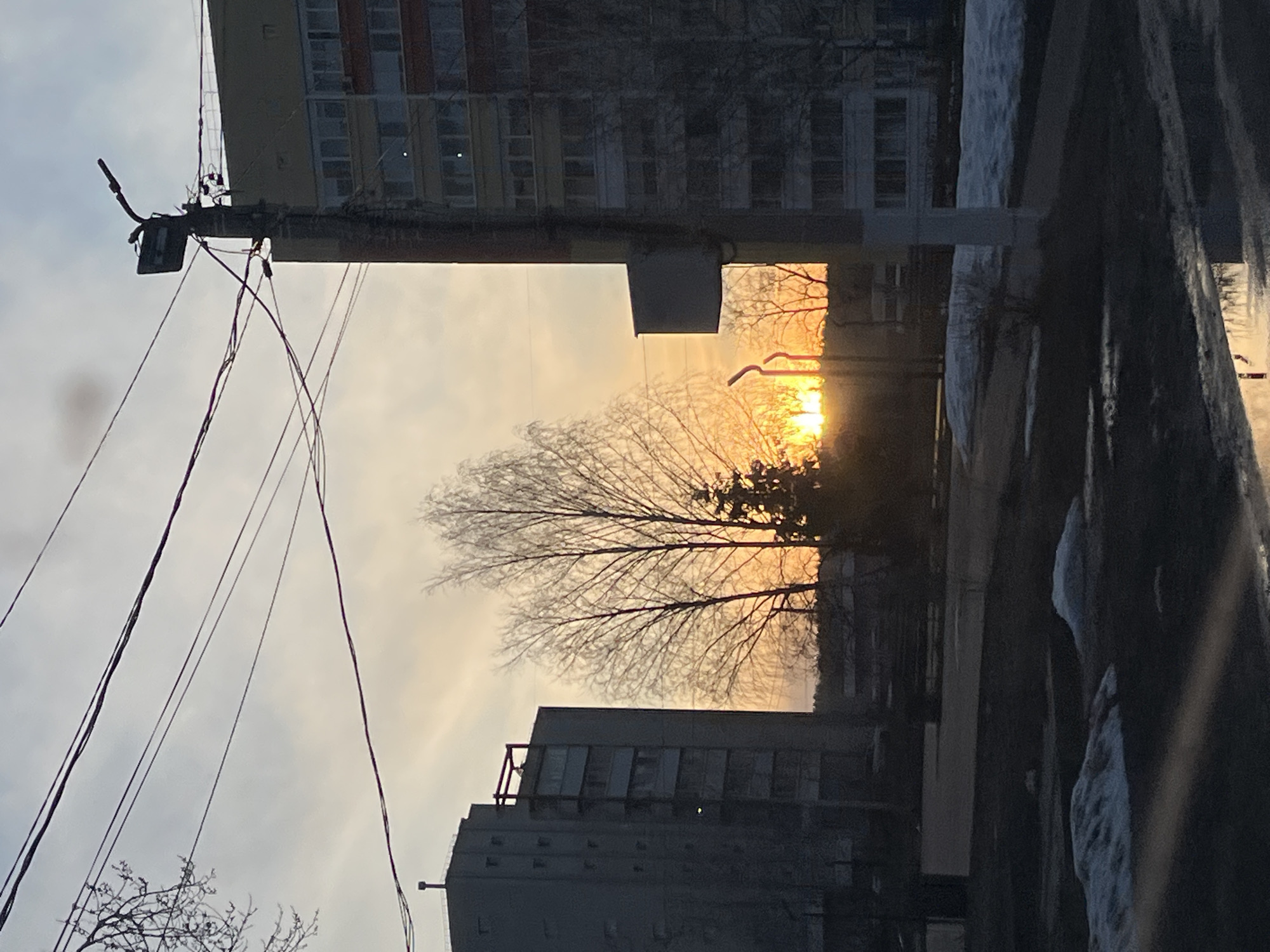 The image shows a cityscape in Chaikovsky, Russia. The sun is setting behind a leafless tree. In the foreground, there is a building and utility poles with wires. In the background, a multi-story residential building is visible. Snow is present on the right side.