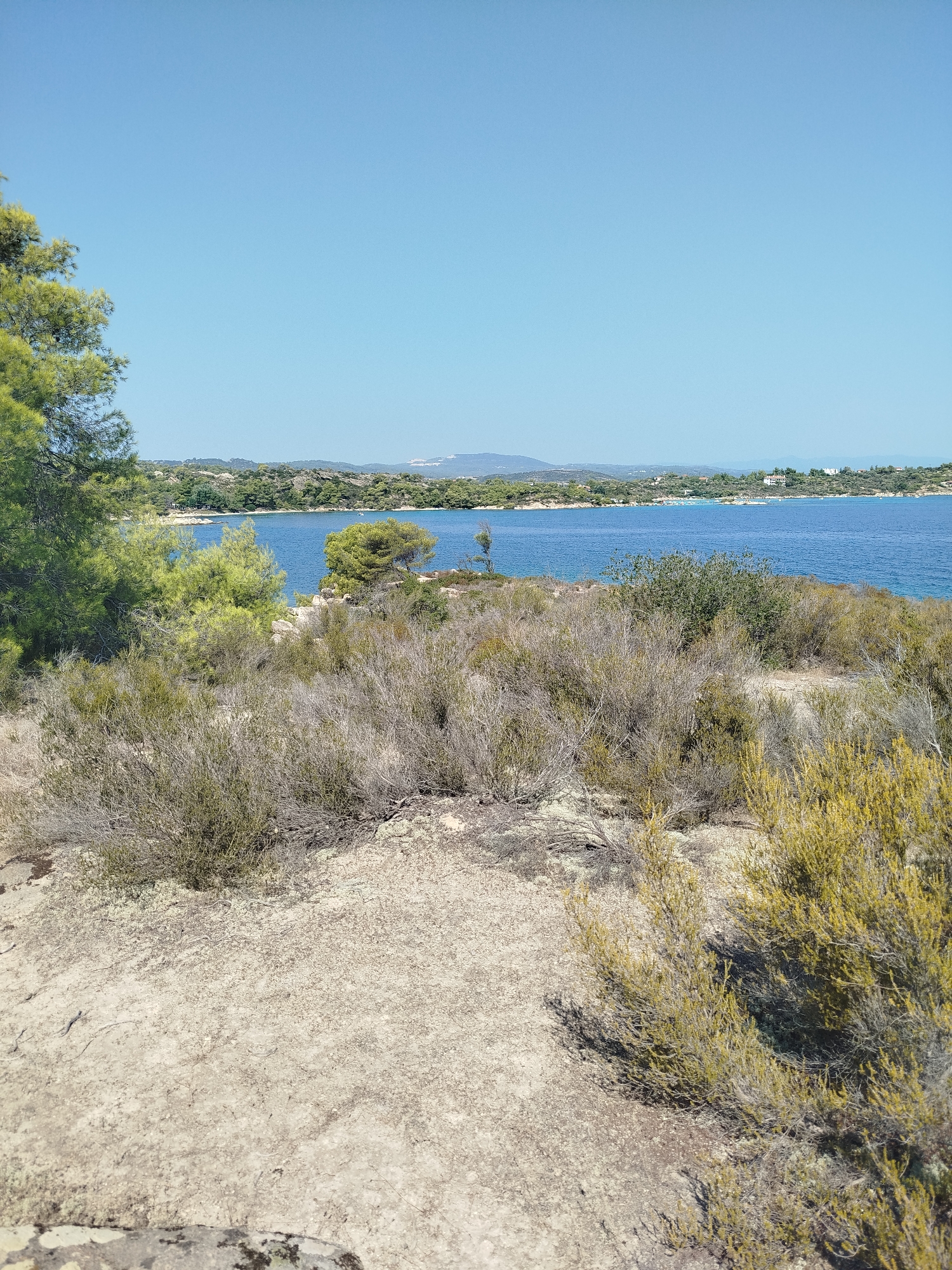 The image depicts a natural coastal landscape under a clear blue sky. In the foreground, dry, scrubby vegetation and rocky terrain dominate, with patches of sparse green and yellow bushes. Further back, a dense line of trees, predominantly evergreens, borders a tranquil blue body of water. Across the water, the opposite coastline is visible, characterized by rolling hills covered with trees and scattered white buildings, suggesting a settlement. A few boats are present on the water, and the overall impression is one of a serene, undeveloped natural environment. The location is in the Sithonia Municipal Unit, Greece, likely a coastal area with typical Mediterranean vegetation.