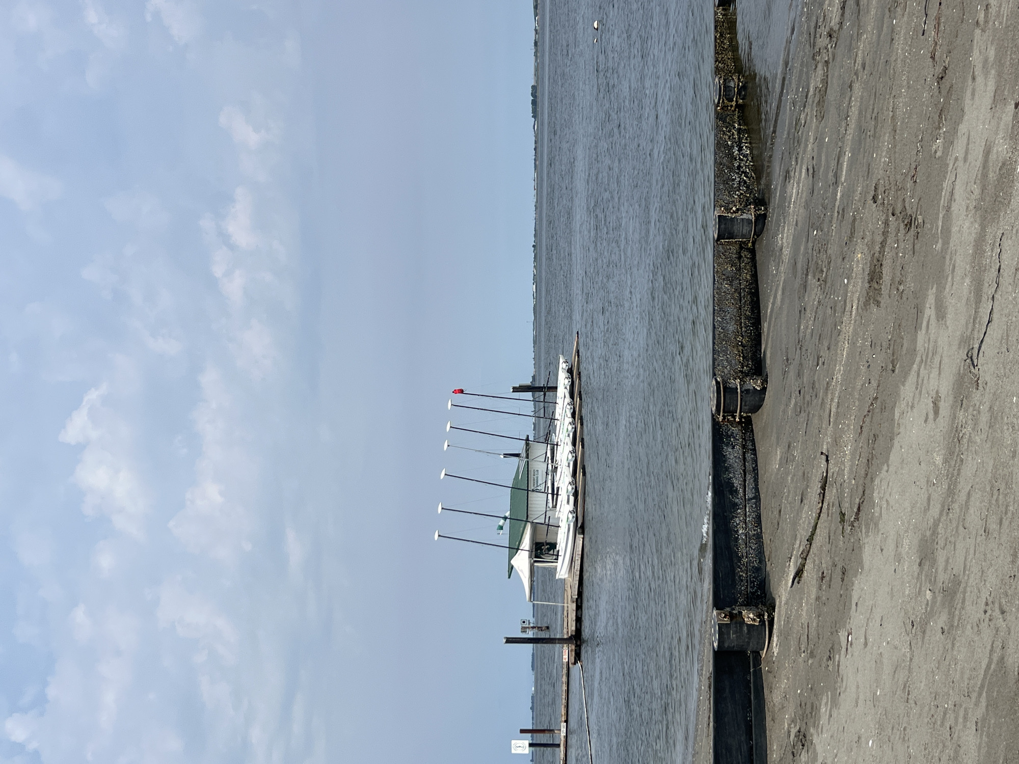 The image depicts a waterfront scene in the city of Surrey, Canada. In the foreground, a sandy beach with a dark, modular barrier structure is visible. The barrier is made of black interlocking sections, each supported by cylindrical posts, and appears to be encrusted with marine growth. Beyond the beach, a body of water, likely a river or ocean, stretches towards the horizon.
On the water, a wooden dock extends from the left side of the frame. Attached to the dock is a small building with a green roof and a white awning. Several white sailboats, each with a mast and rigging, are moored alongside the dock. One of the sailboats has a small red flag attached to its mast. Two posts are visible on the dock, one with a sign. In the distance, a low-lying landmass with some structures and vegetation forms the horizon line under a cloudy sky. The water is calm with gentle ripples.
