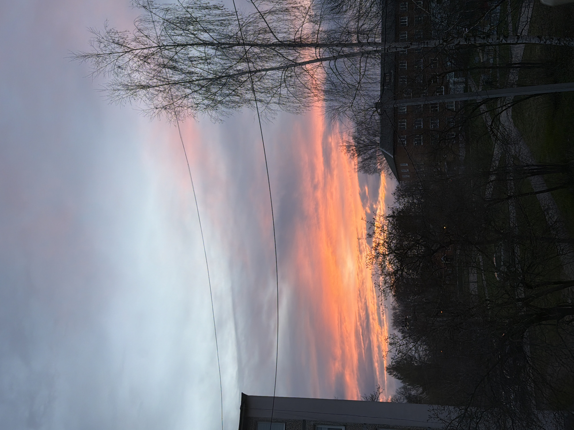 The image presents a dramatic sky at either sunset or sunrise, captured in a vertical orientation. The right side of the frame is dominated by vibrant, elongated clouds ablaze with intense orange, red, and pink hues, gradually blending into softer purples and dark greys. This vivid display transitions into a lighter, more muted grey and pale blue sky on the left.
Silhouetted against the sky are numerous bare tree branches, suggesting a late autumn or winter season. A large tree's branches extend into the frame from the top, while a cluster of darker, leafless trees occupies the mid-right section, obscuring the horizon. Several thin, dark wires or power lines traverse horizontally across the mid-left portion of the sky.
Towards the bottom of the image, the dark outlines of multi-story residential buildings are visible, partially hidden by the bare trees. A path or road and some dark ground are faintly discernible in the lower right background. The scene conveys a serene and atmospheric moment in what appears to be an urban or semi-urban residential area, consistent with the context of Reshetnikovo, Russia. No people or visible text are present.