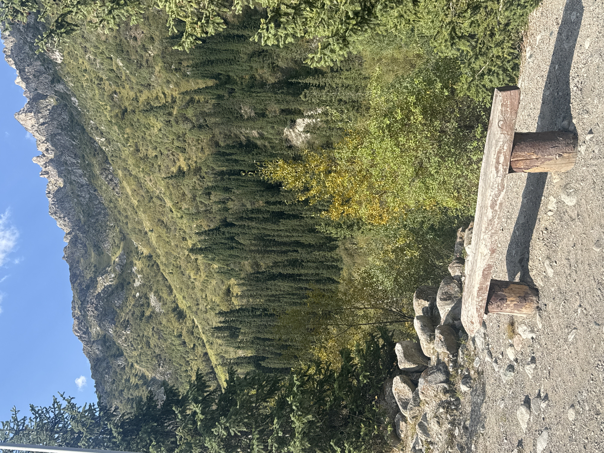 The image depicts a rustic wooden bench placed on a gravelly path in a mountainous, forested area. The bench is constructed from rough-hewn logs for its supports and a thick plank for the seat, exhibiting visible grain and some carved patterns. Large, weathered stones are scattered on the ground to the left of the bench, and a sparse patch of grass grows near its base.
In the background, a dense forest of evergreen trees stretches up a steep mountainside. The trees are tall and slender, creating a striking vertical pattern against the landscape. The mountain itself is rocky and rugged, with sharp peaks visible against a clear blue sky dotted with a few wispy white clouds. The foliage of the trees shows varying shades of green, with hints of yellow and brown suggesting the season might be autumn or late summer.
To the far left and right edges of the frame, portions of large evergreen trees are visible, framing the scene and adding to the sense of being in a natural, wilderness setting. The lighting suggests it is daytime, with the sun casting a distinct shadow from the bench onto the path. The overall impression is one of a tranquil, natural spot within a mountainous region, potentially a scenic overlook or rest stop. The specific location in the city of Unknown, Kyrgyzstan is not visually discernible from the provided image.
