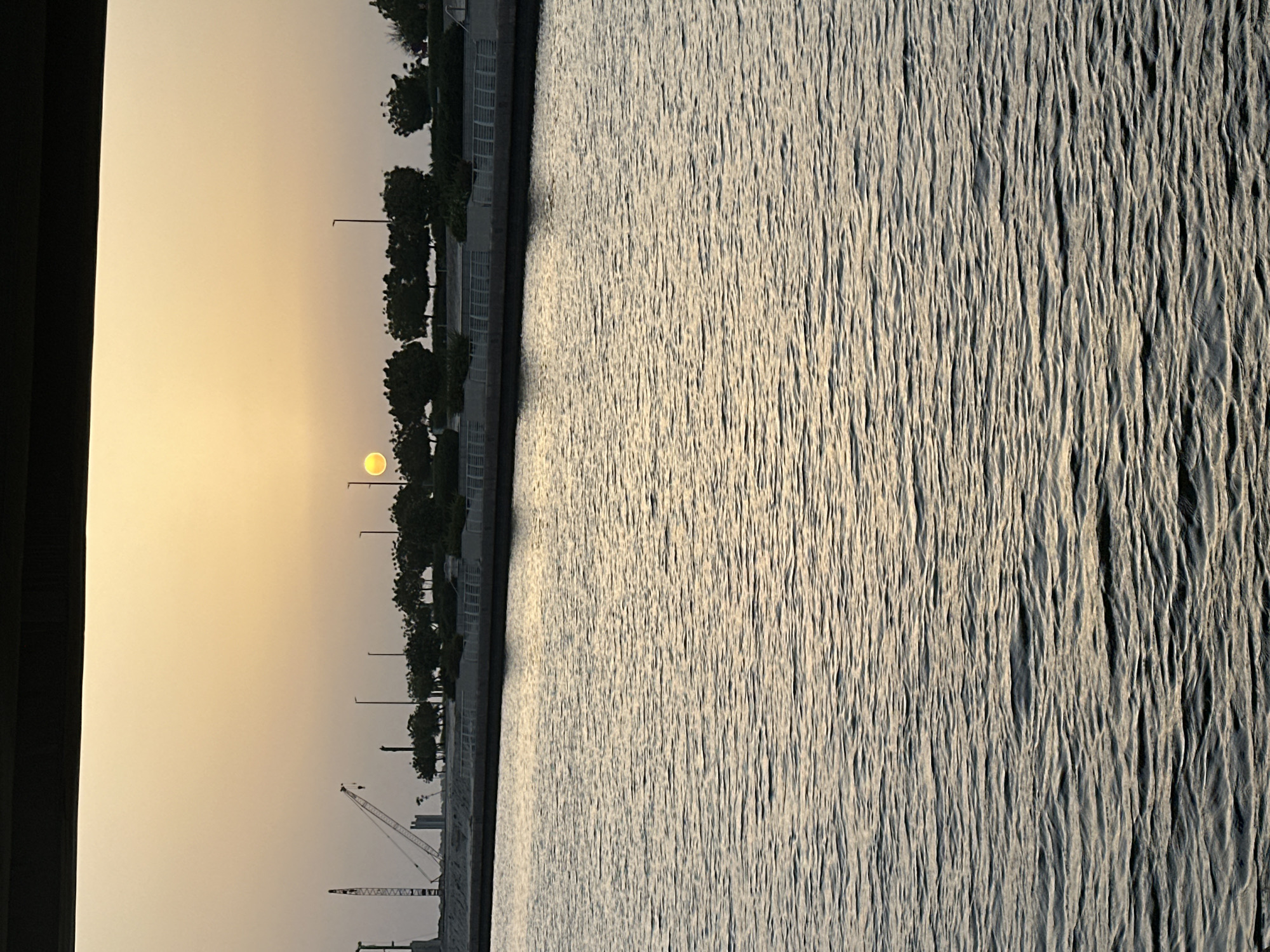 This photo captures a sunset scene in Abu Dhabi, United Arab Emirates, with a view towards the sea. The sun is low on the horizon, casting a warm, golden light across the sky and reflecting on the water's surface. The water itself is textured with waves, creating a shimmering effect.
Along the shore, there is a stretch of trees and lampposts, indicating a coastal road or promenade. In the distance, construction cranes are visible, suggesting ongoing development in the area. The photo is taken from an elevated position, possibly from a building or bridge, as evidenced by a dark structure on the left side of the frame.