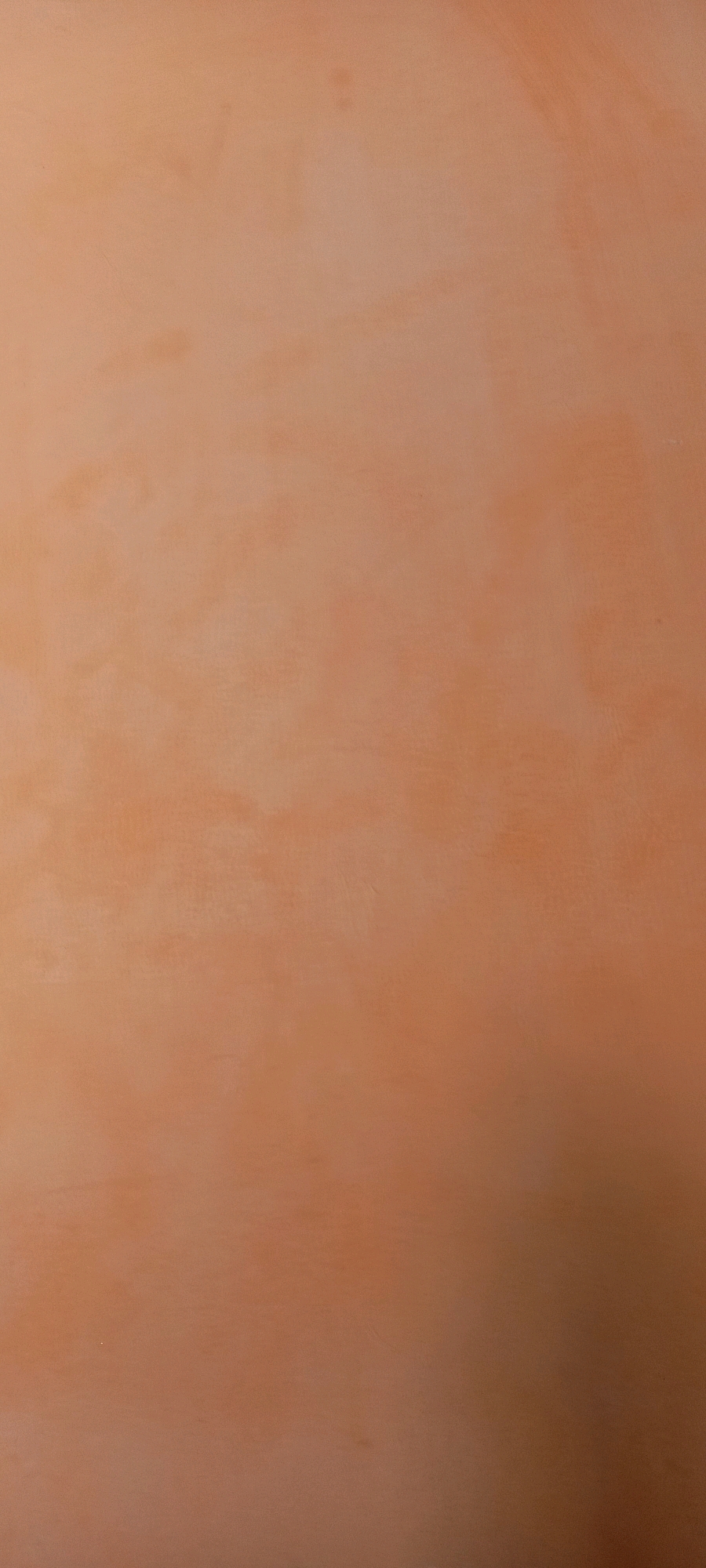 The image is a close-up, vertical shot of a textured, terracotta-colored surface. The color is a warm, earthy orange-brown, with subtle variations in shade and tone that create a mottled or washed effect. There are lighter and darker patches, suggesting uneven application of pigment or light and shadow playing across the surface. The texture appears slightly rough or granular, possibly indicating plaster, stucco, or unglazed pottery. No specific location in Pakpattan, Pakistan, can be identified from this abstract image.