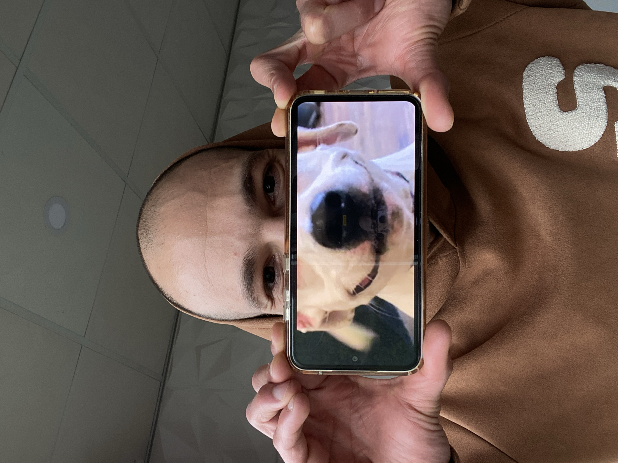 An indoor shot taken in Pleven, Bulgaria, captures a person holding a gold-framed smartphone displaying a close-up image of a white dog. The person's head, bald or closely shaven, is visible on the left, with dark eyes focused towards the phone. They are wearing a brown or tan hooded sweatshirt, featuring a large, textured white letter "S" and a partial "u" or "p" on the right side, indicative of the "Supreme" brand.
The smartphone is held vertically, and its screen shows a cheerful white dog with a black nose and mouth, looking slightly upwards with a contented expression. A faint reflection of a camera interface, including a small shutter icon and focus square, is discernible on the screen, suggesting a live camera feed, video call, or photo preview.
The background consists of a light gray ceiling with a distinct grid pattern and a circular recessed light fixture visible on the left. On the far right, a wall with geometric, textured panels in a similar light gray hue adds to the modern indoor setting. The lighting is diffused, likely artificial, and the perspective is from a low angle, looking up at the person and their phone.