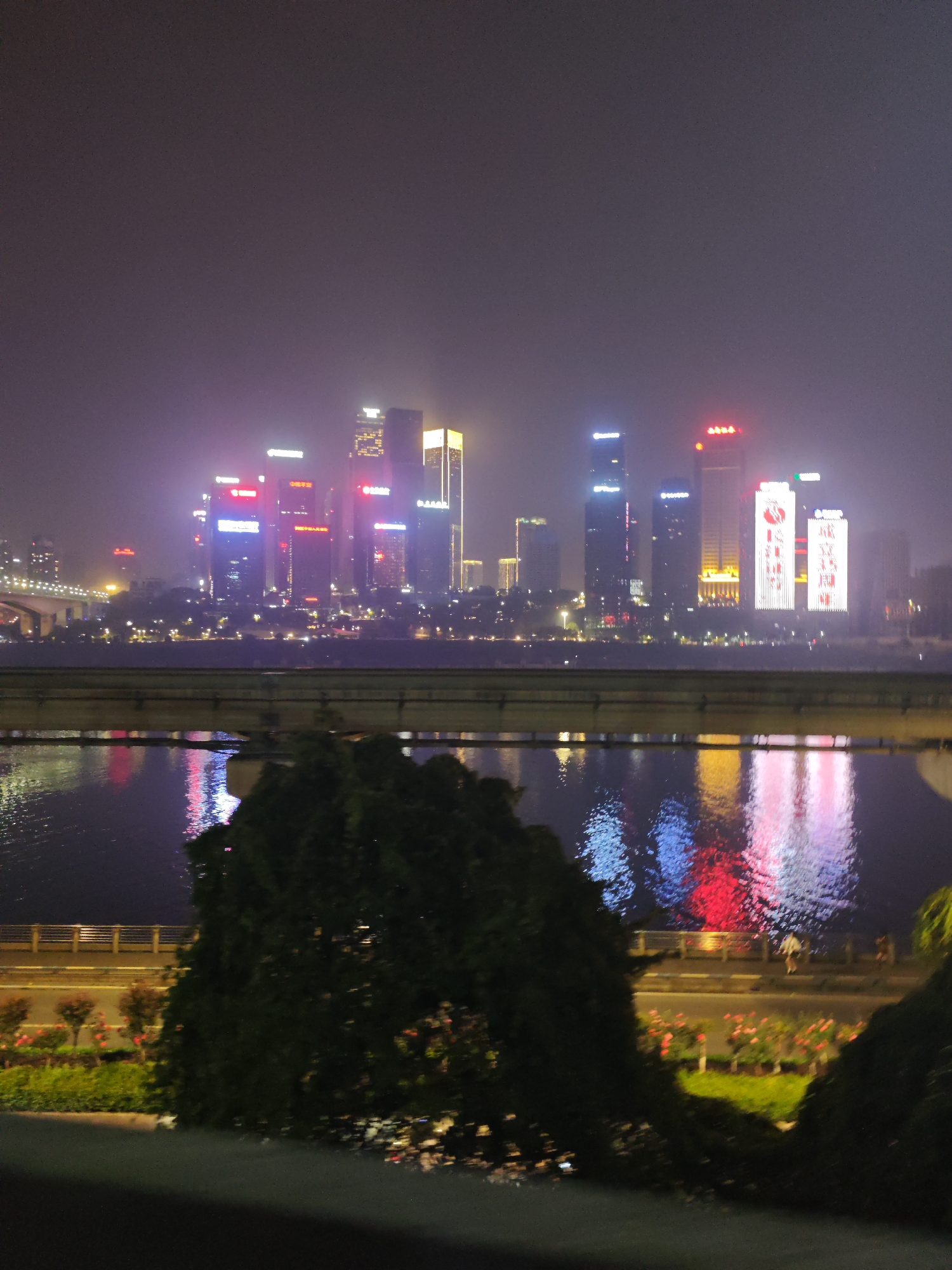 The image depicts the Yuzhong District skyline in Chongqing, China, at night. The scene is partially obscured by foliage in the foreground. A body of water reflects the illuminated buildings, exhibiting red, yellow, and blue light. A bridge spans the water in the middle ground, and a lower pedestrian pathway runs along the waterfront. Pedestrians are visible on the pathway. The skyline features numerous skyscrapers lit with various colors and displays. The sky is dark and overcast.