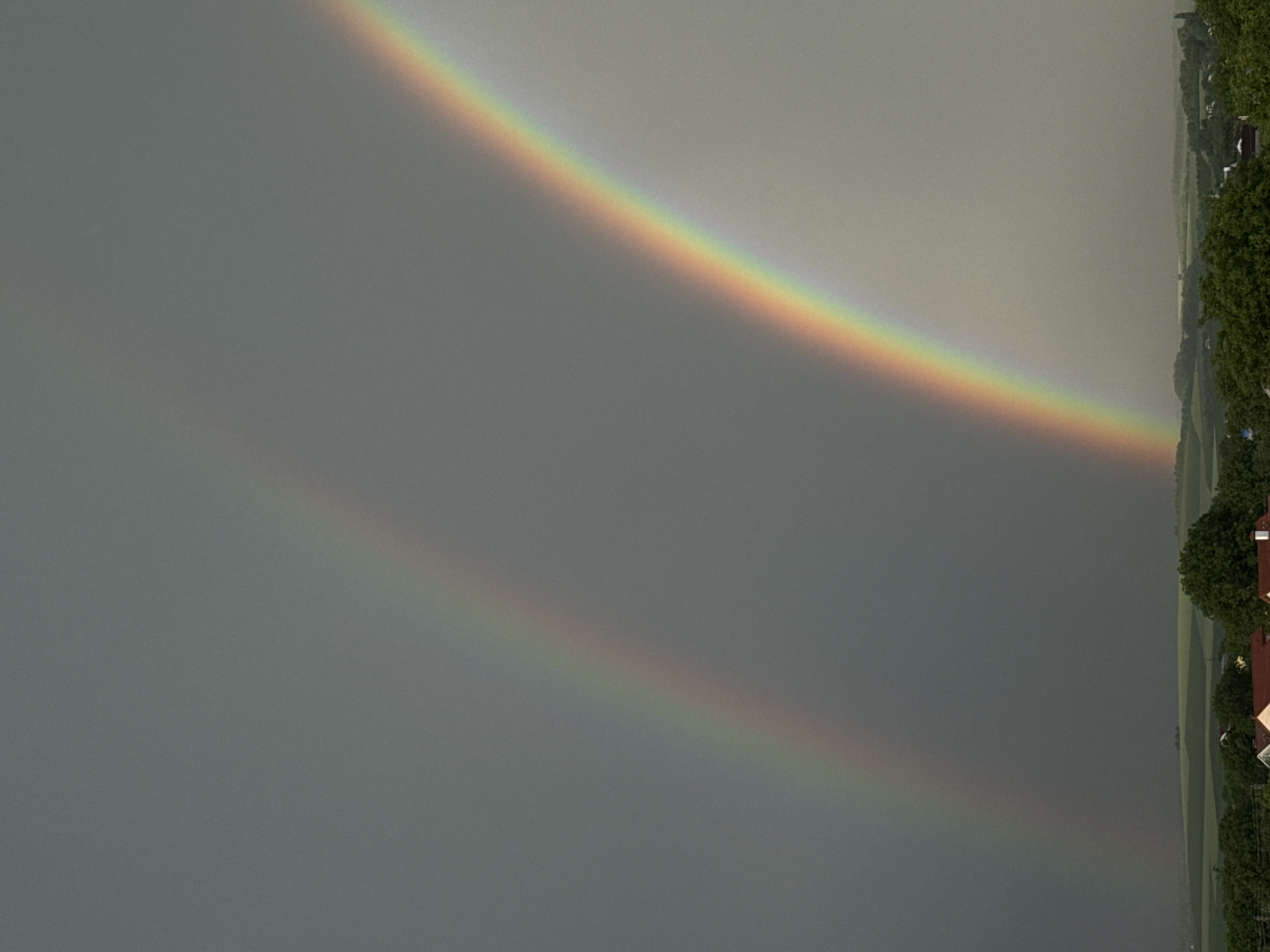 The image depicts a landscape scene with a double rainbow arching across a dark, overcast sky. The foreground features a line of trees and rooftops, suggesting a rural or suburban setting. The primary rainbow is vibrant, displaying a full spectrum of colors, while a fainter secondary rainbow is visible above it. The sky is heavily clouded, with a gradient from dark gray on the left to a lighter, possibly hazy gray on the right. The overall lighting is diffused, characteristic of a stormy or post-storm condition. No people or specific actions are discernible in the image.