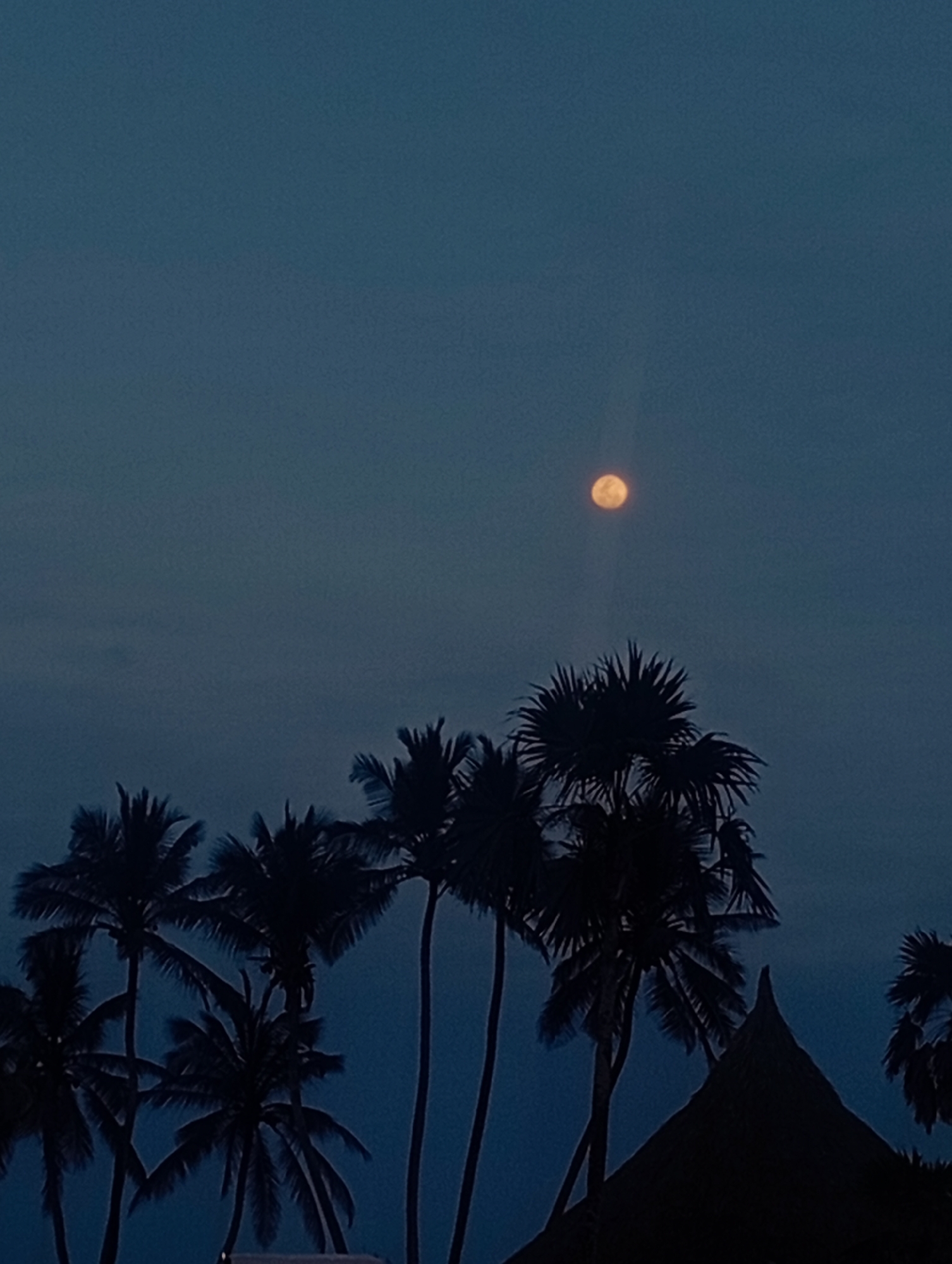The image captures a night scene in Playa El Agua, Venezuela, featuring a row of silhouetted palm trees against a dark blue sky. A bright, round moon is visible in the upper portion of the frame. In the foreground, a portion of a thatched roof structure is visible. No people, subjects, actions, or interactions are visible. The environment is a tropical beach setting at night.