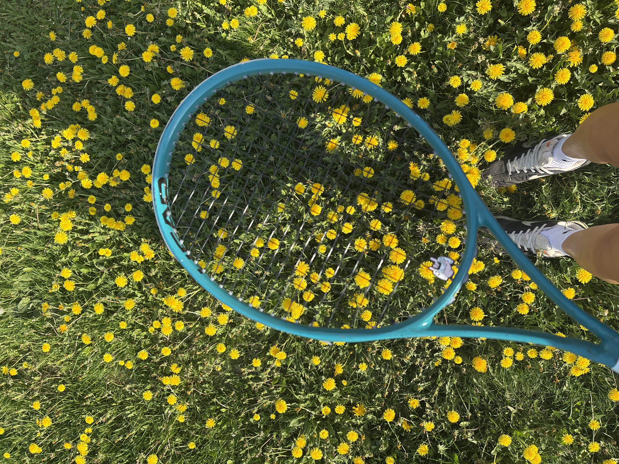 A turquoise tennis racket is centered over a field of dandelions. A pair of sneakers with white socks is visible in the upper right corner. The location is presumed to be Chaikovsky, Russia, based on the prompt.